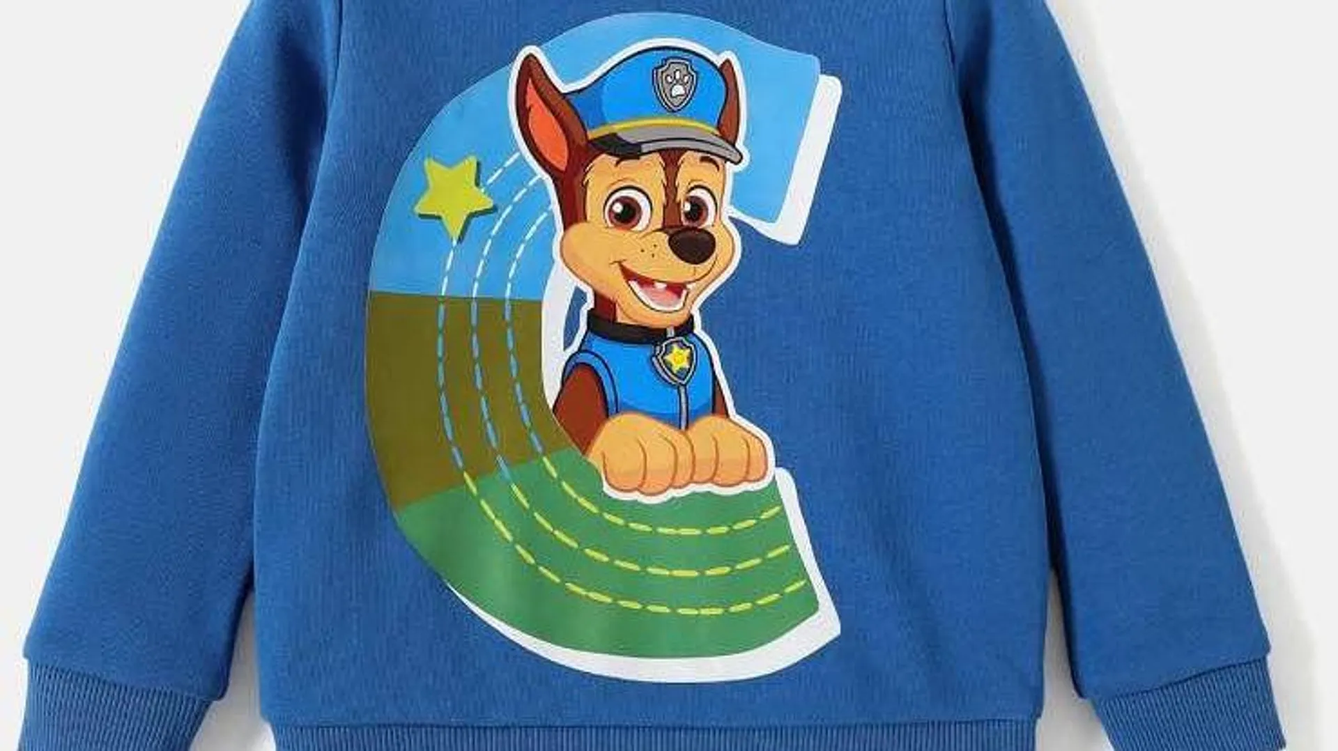Toddler Boy/Girl Paw Patrol Pups Pattern Sweatshirt