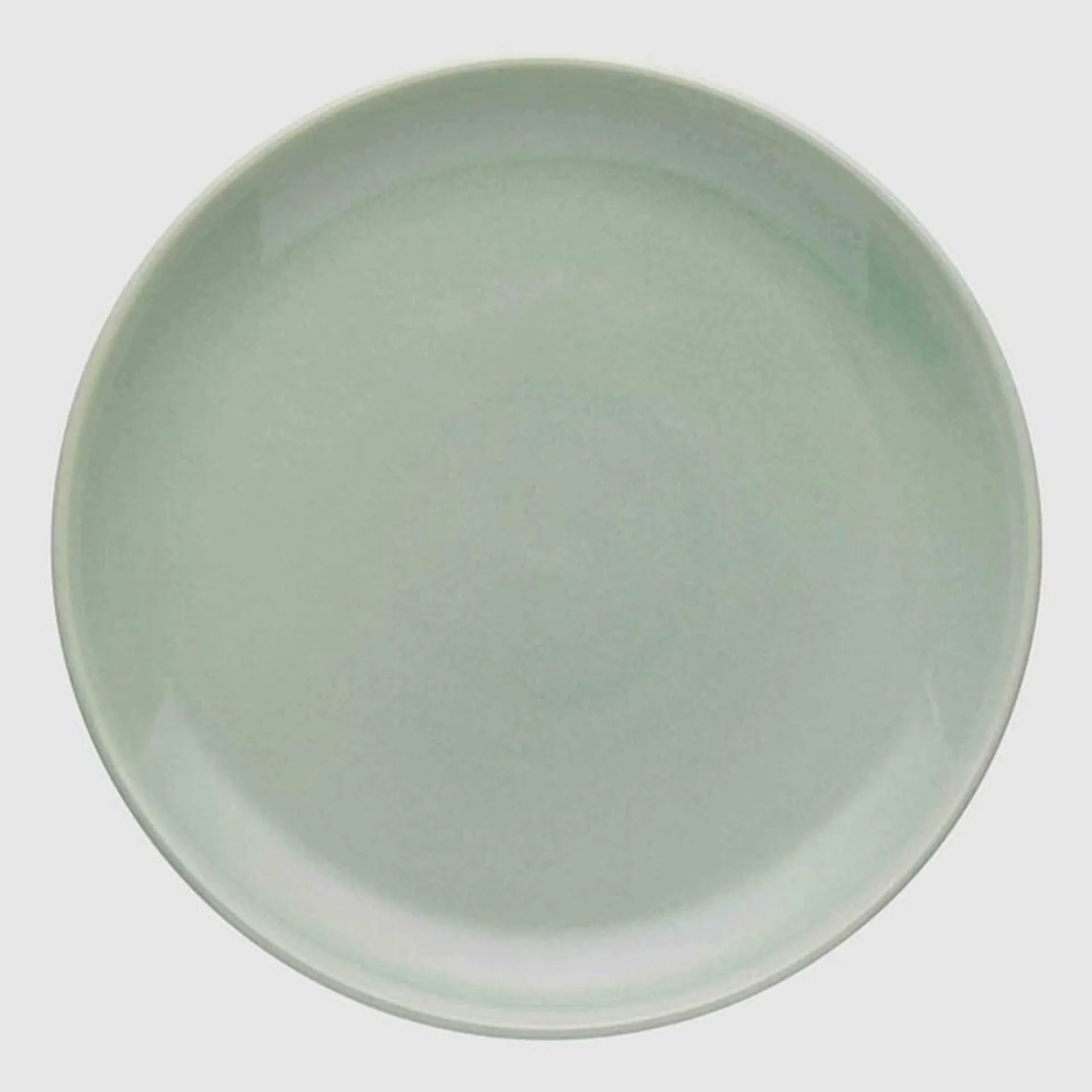 Ecology Element Dinner Plate 26.5cm Dew