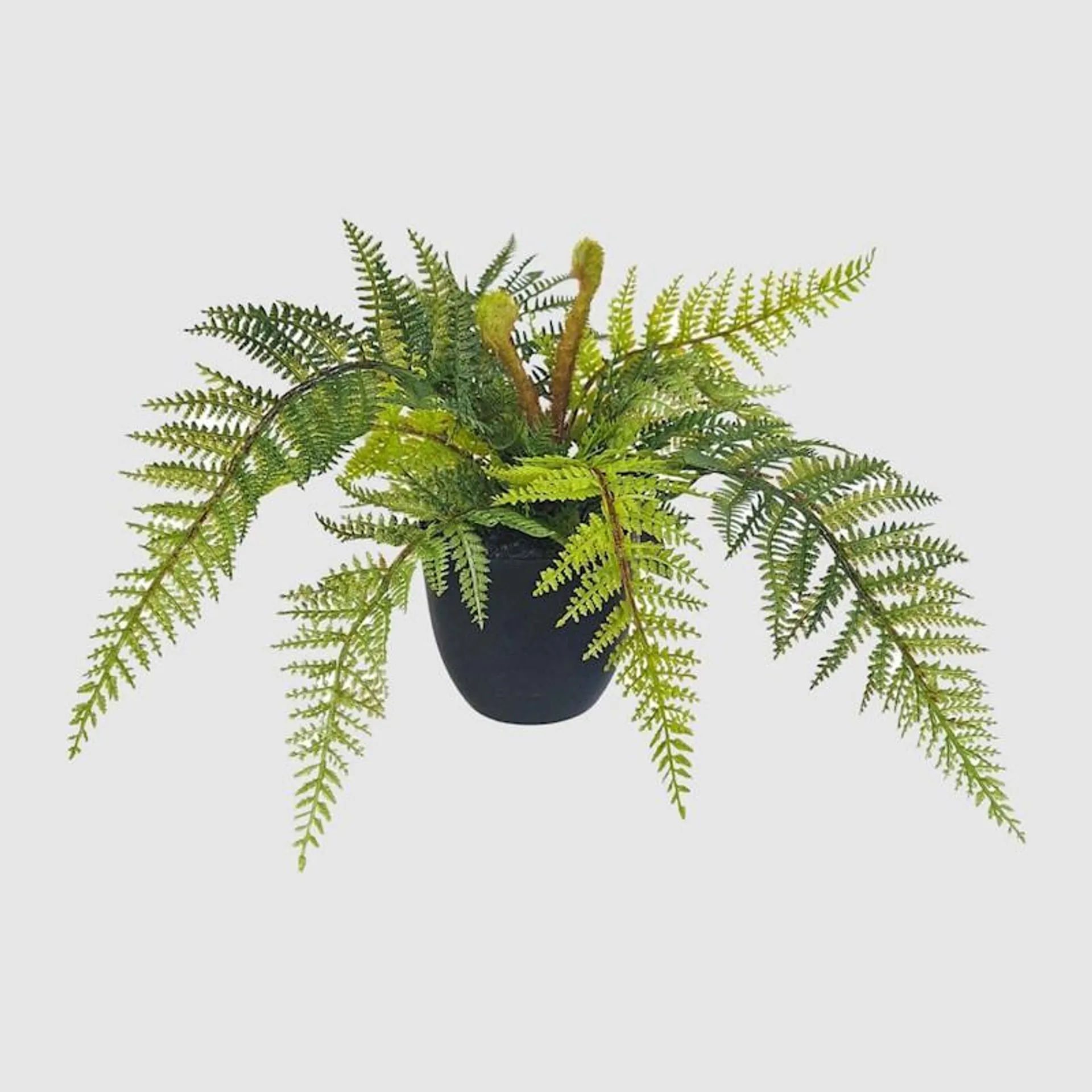 Artificial Plant New Zealand Fern in Pot