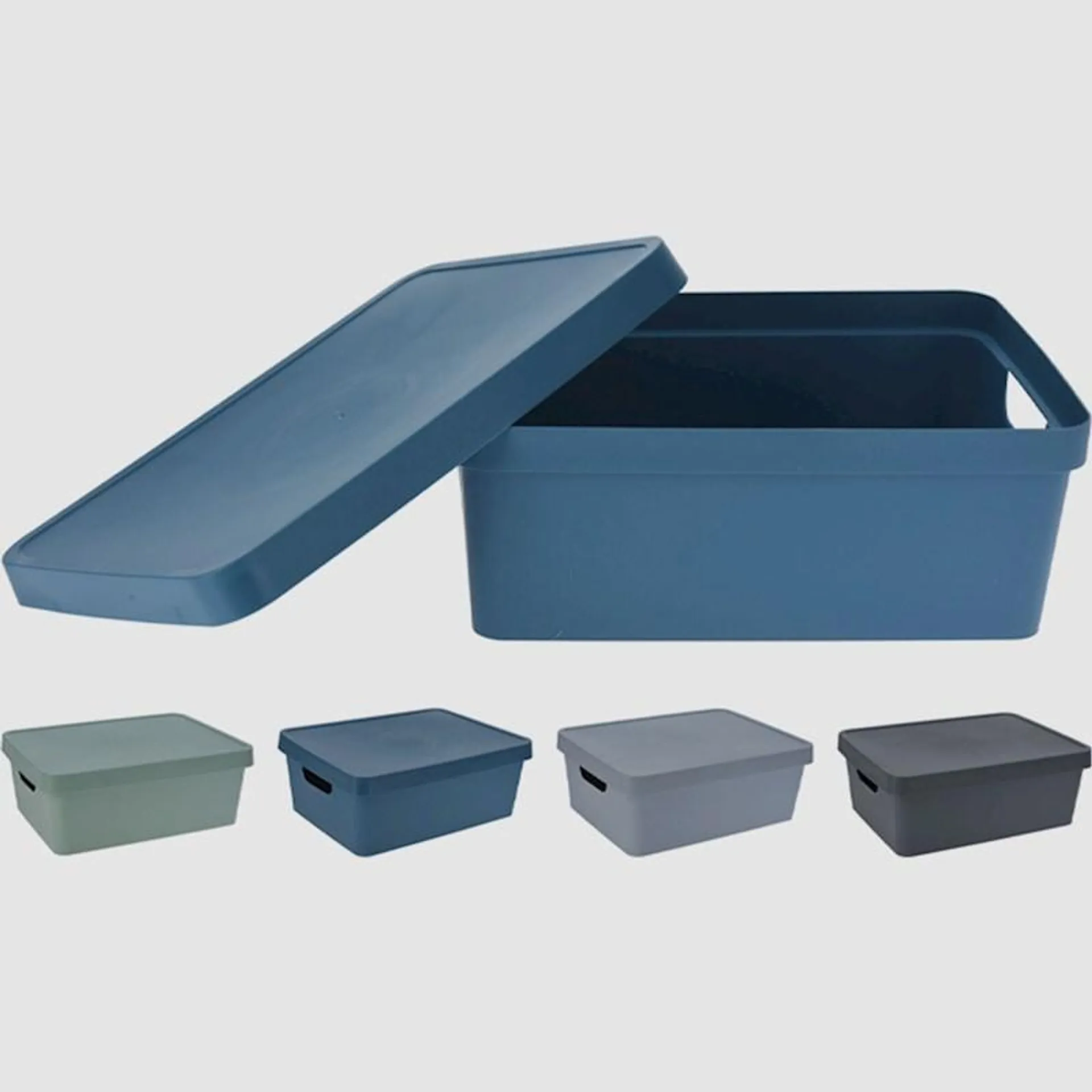 Storage Solutions Luna Storage Box Assorted 11L