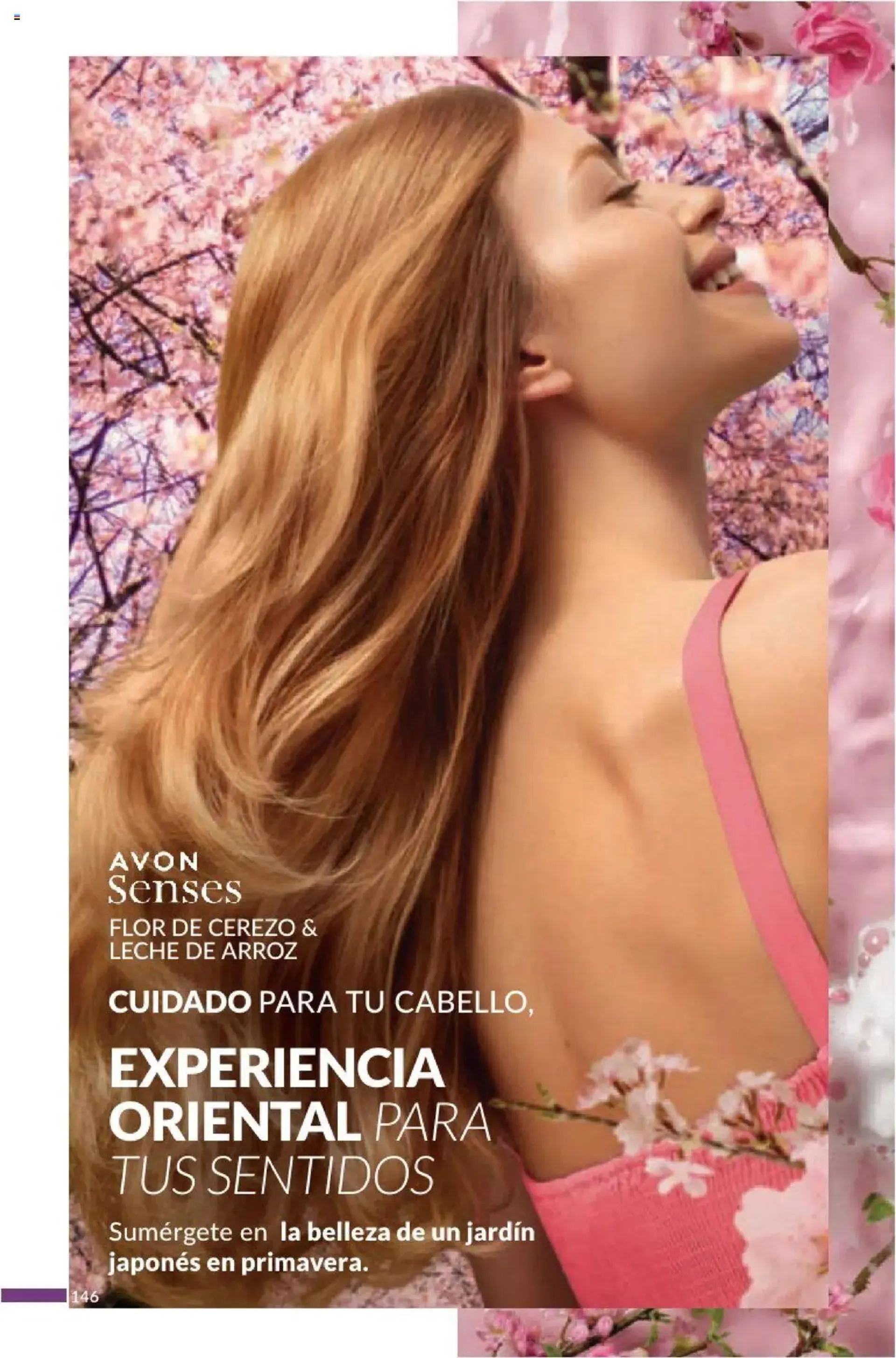 Catalogo de Avon - Campaña 14 10 de octubre al 31 de diciembre 2024 - Pag 146