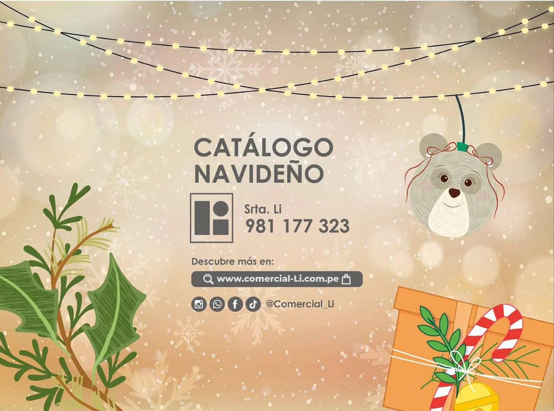 Catalogo de Catálogo Comercial Li 13 de diciembre al 31 de diciembre 2024 - Pag 22