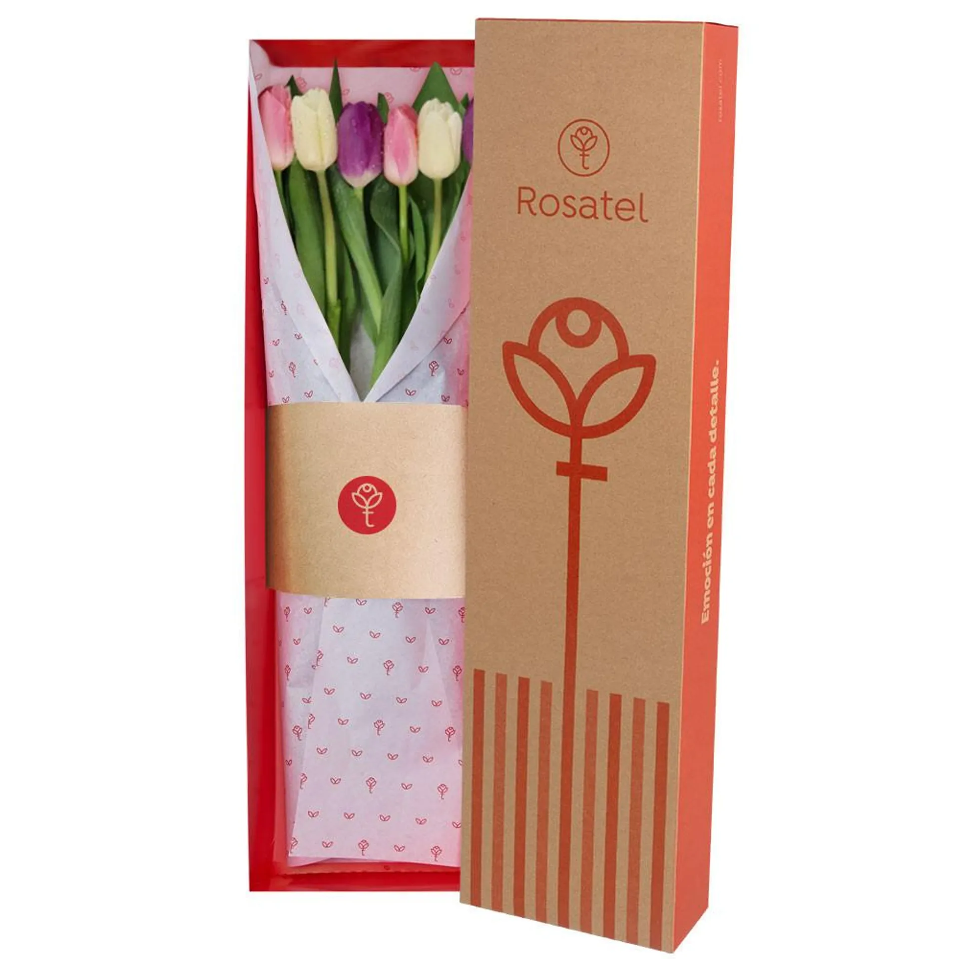 Caja Natural 6 Tulipanes Colores Pasteles