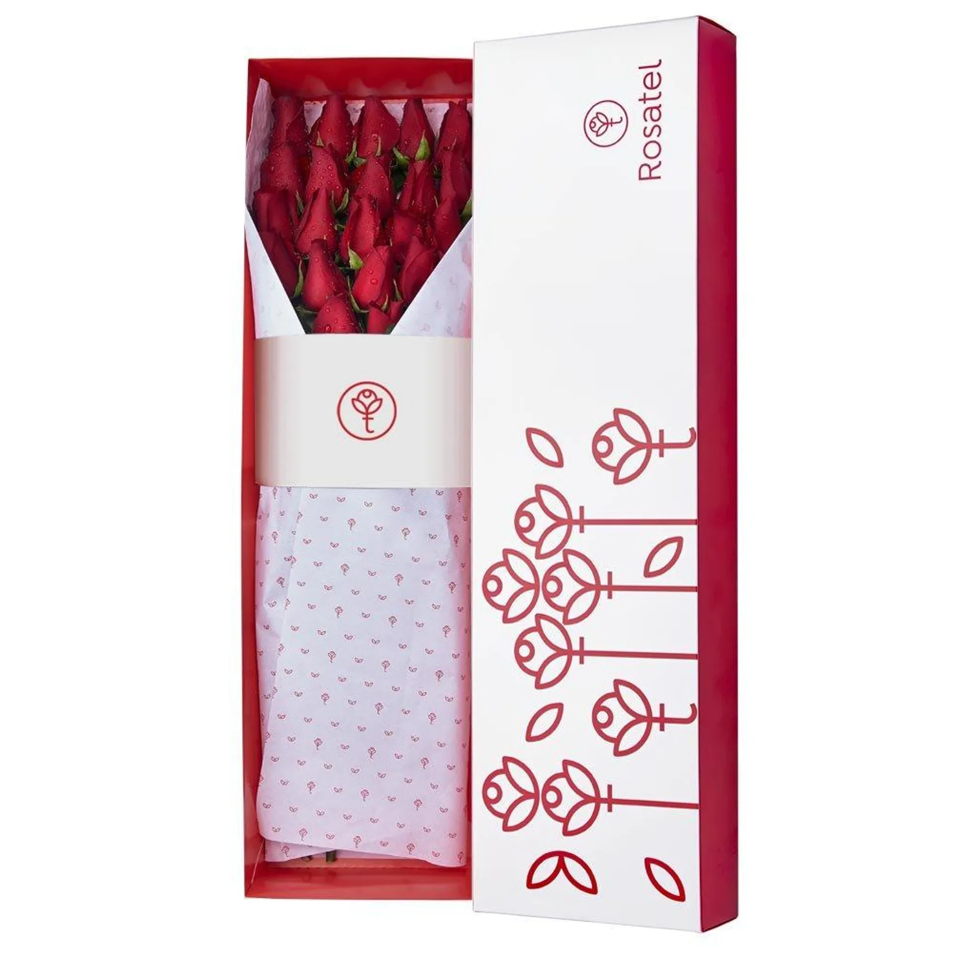 Caja Blanca con 24 Rosas