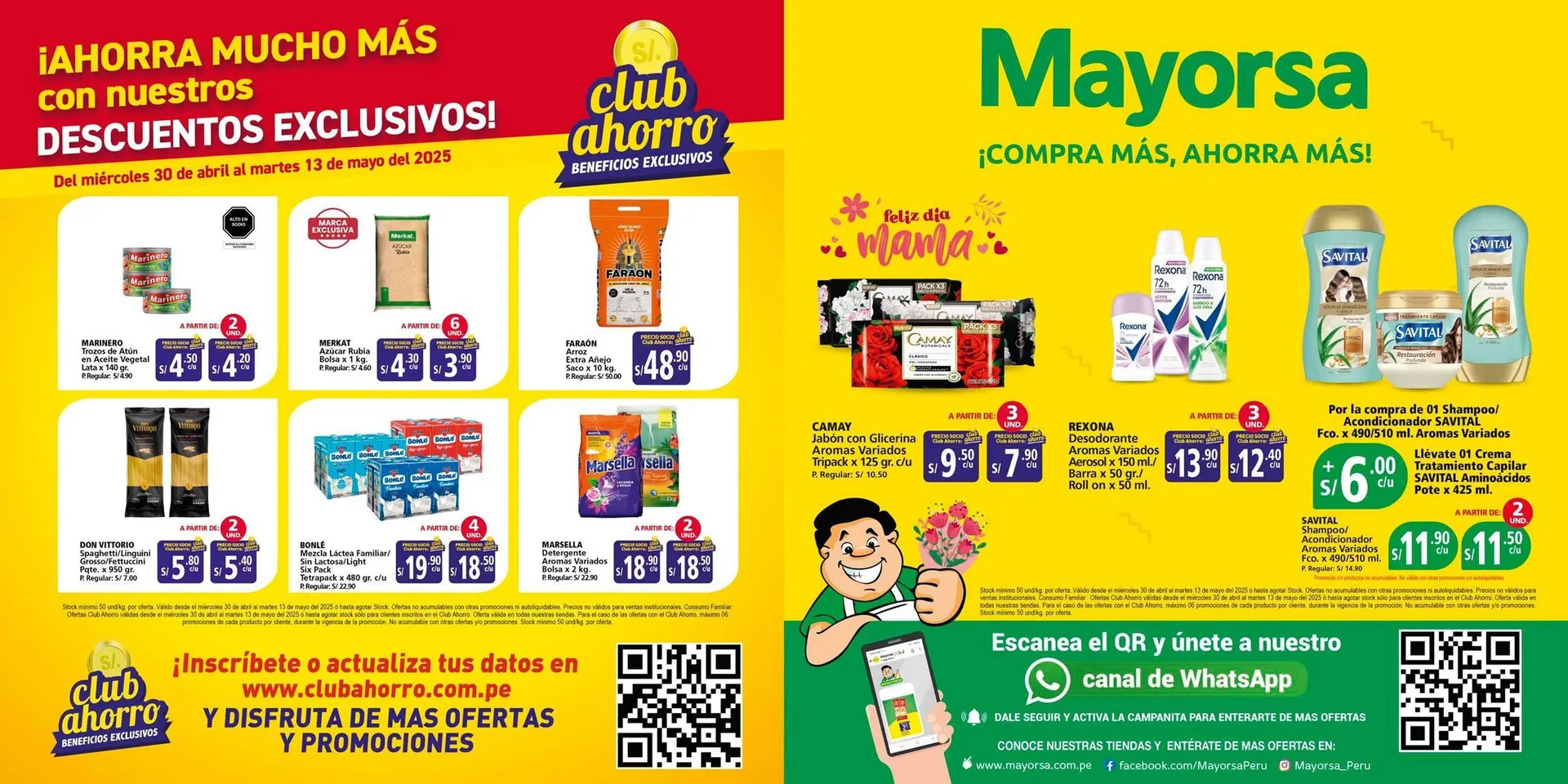 Catálogo Mayorsa - 1