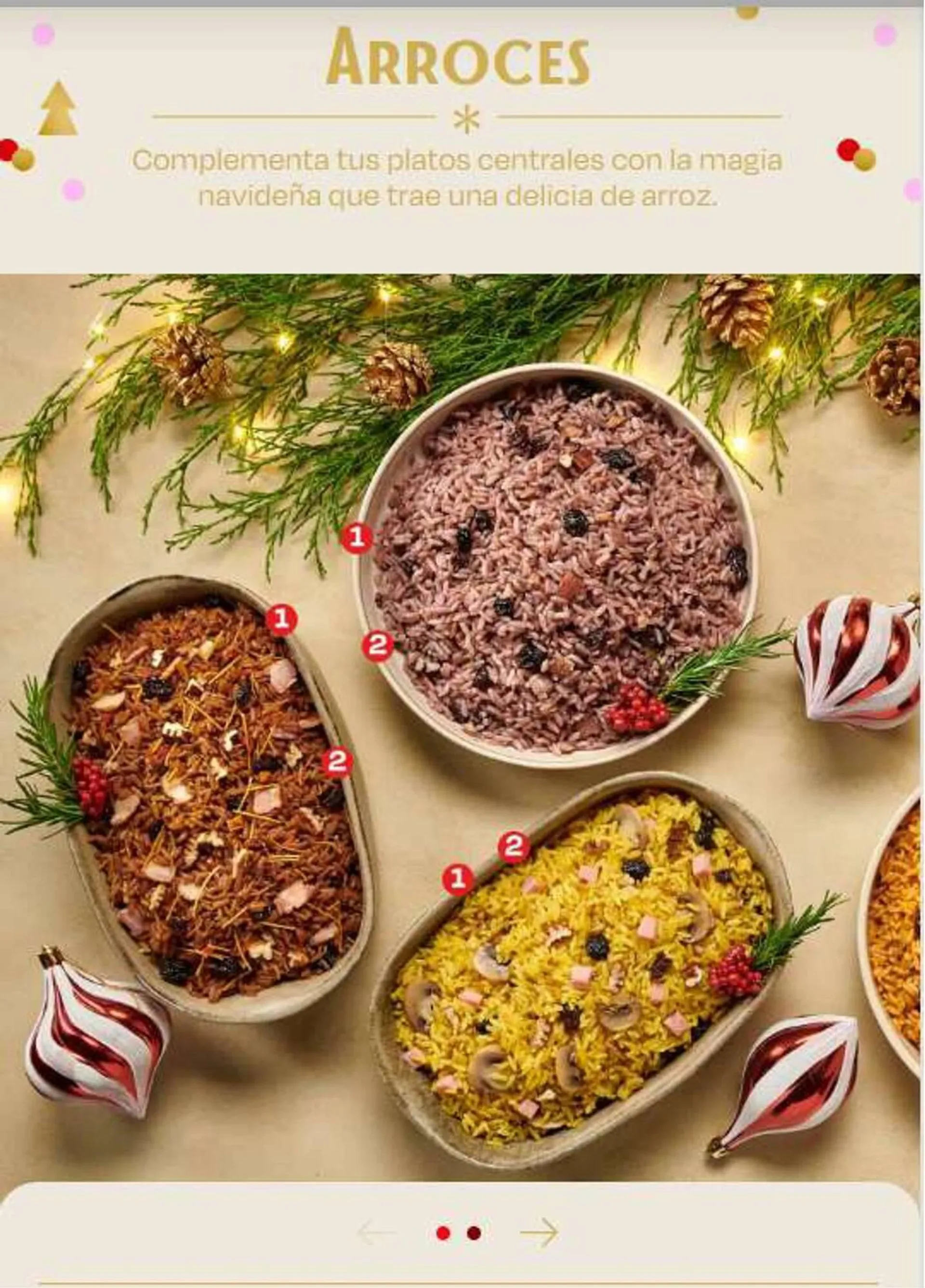Brochure Cover