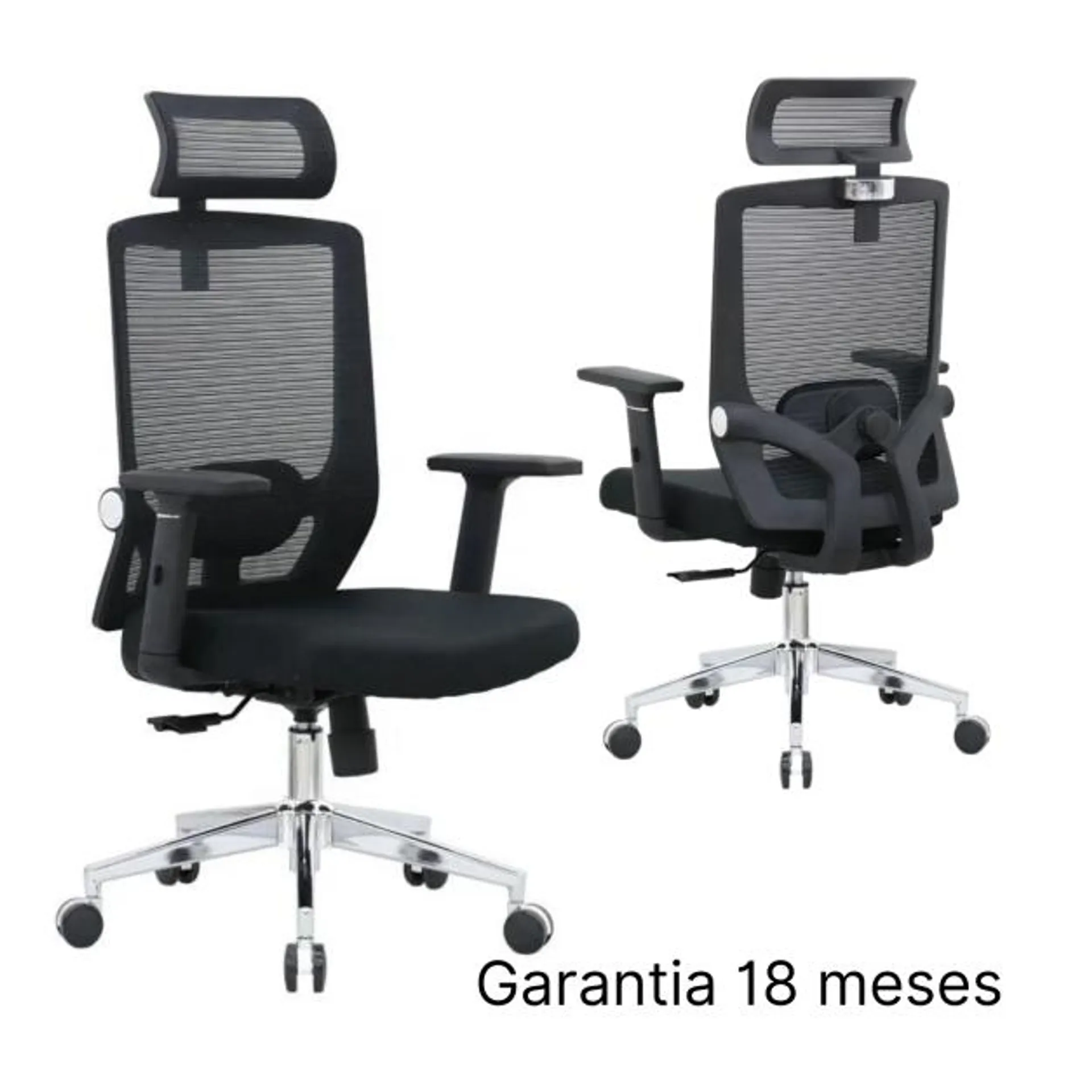 Silla Ergonomica Israel 3D