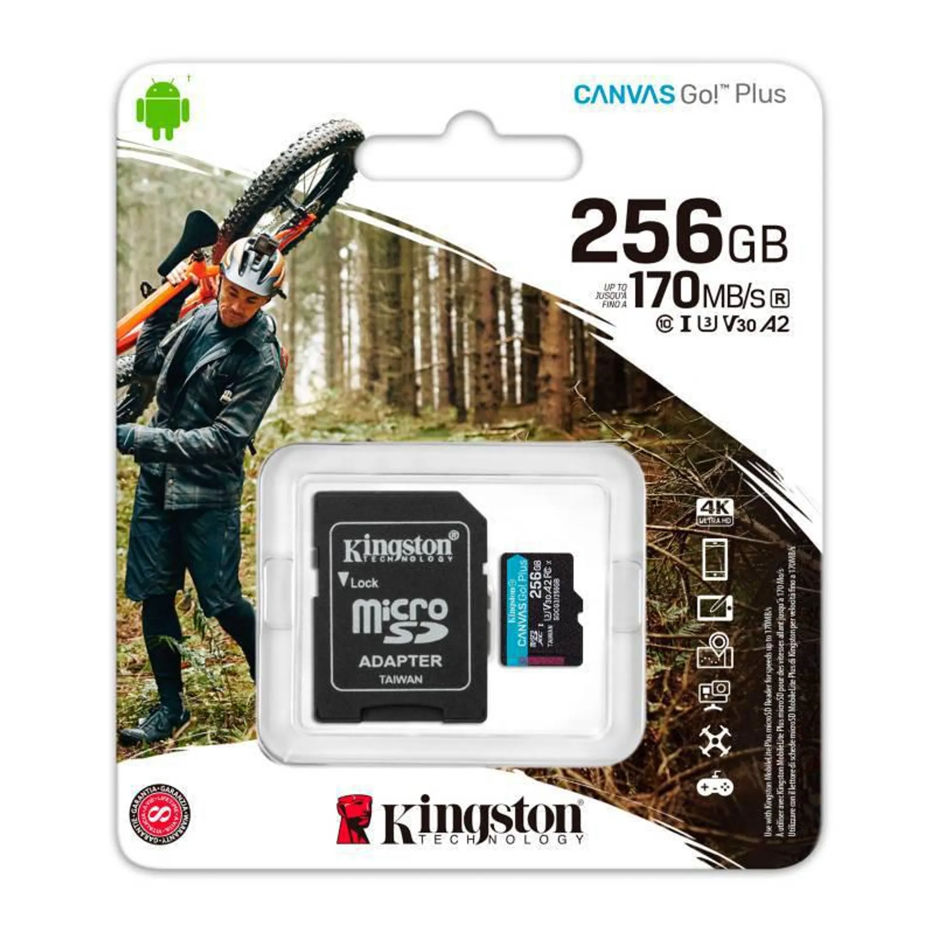 Memoria Micro SD Kingston 256GB Canvas Go Plus