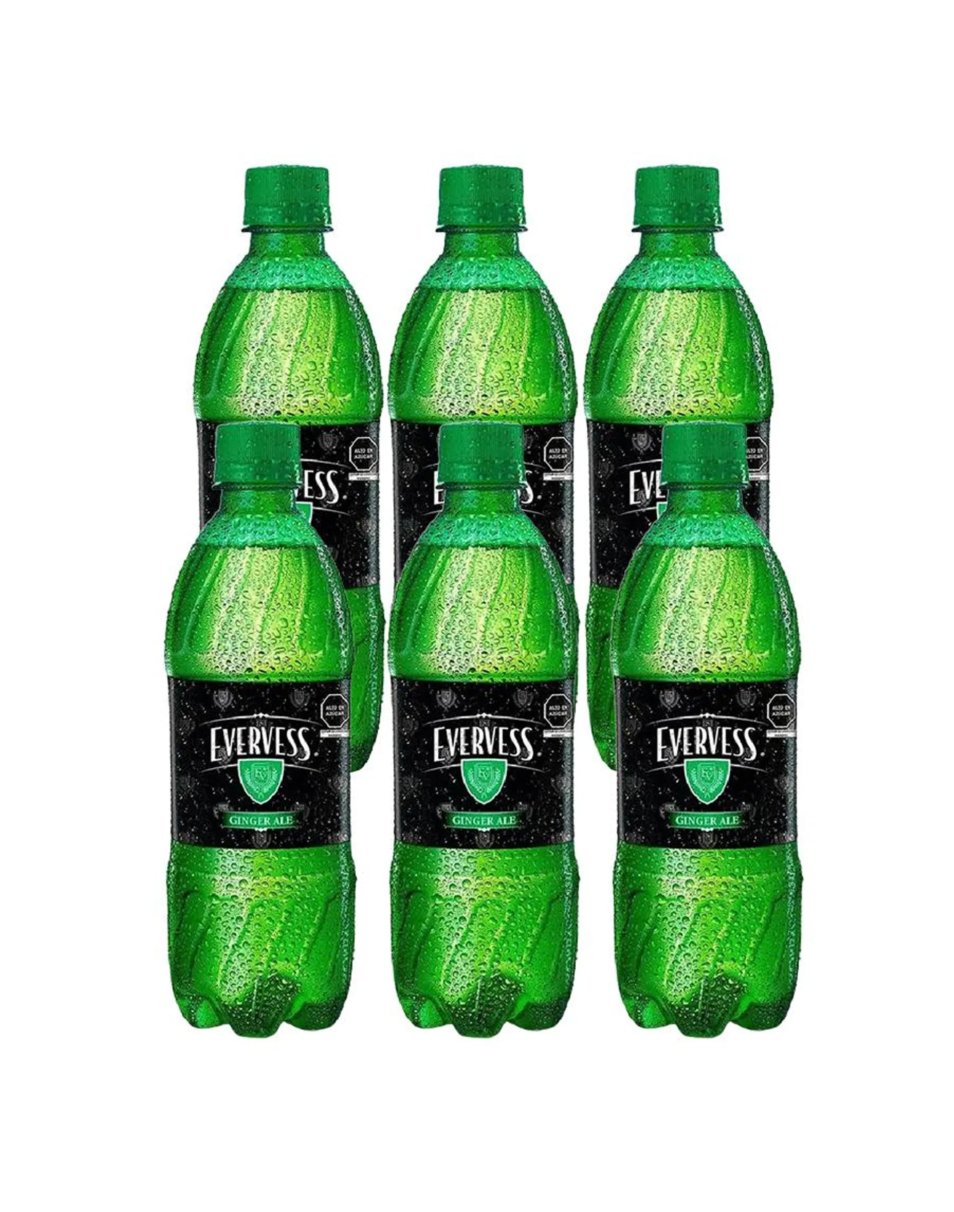 GINGER ALE EVERVESS 500ML x6