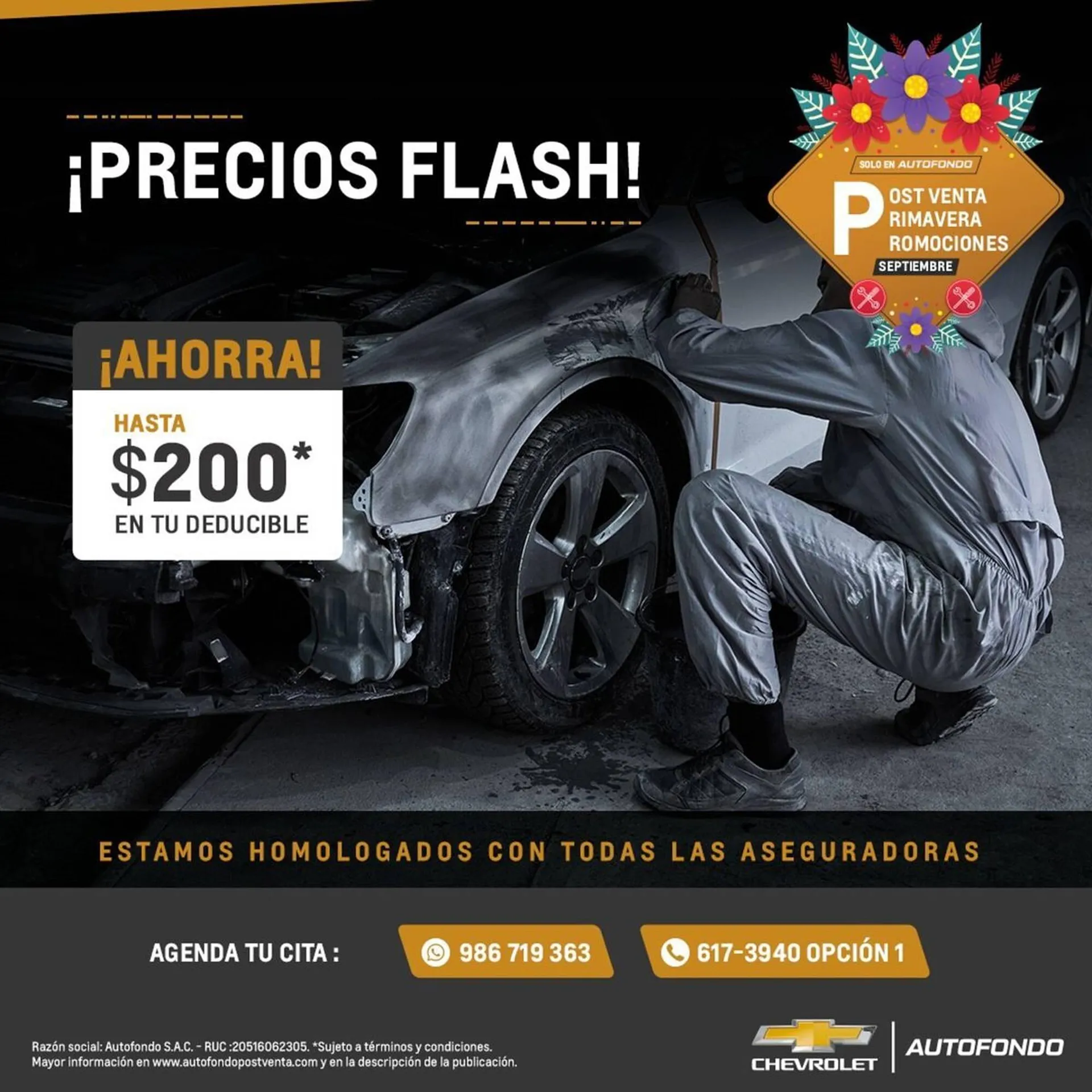 Catalogo de Catálogo AutoFondo 17 de setiembre al 30 de setiembre 2024 - Pag 2