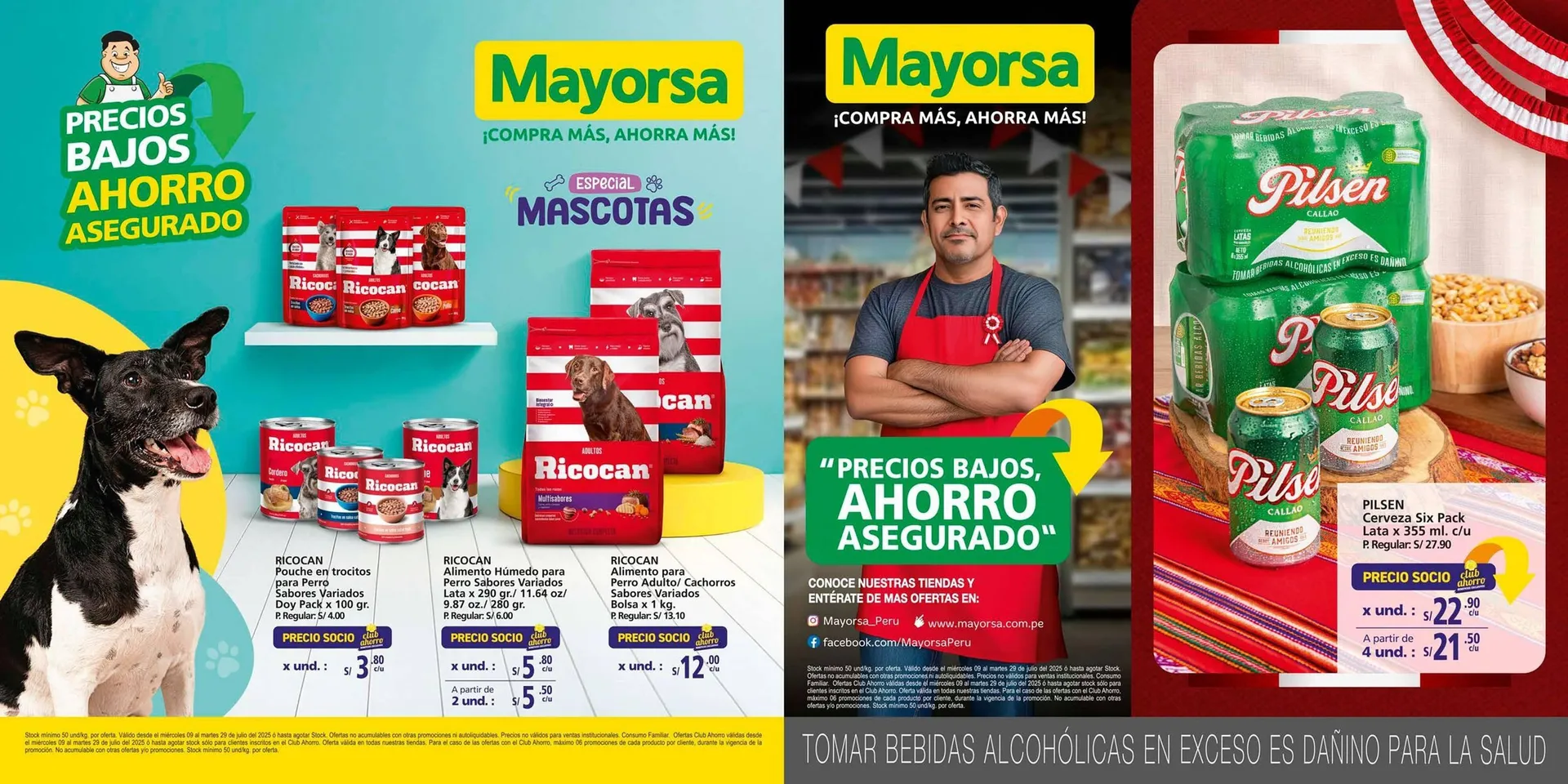 Catálogo Mayorsa - 1