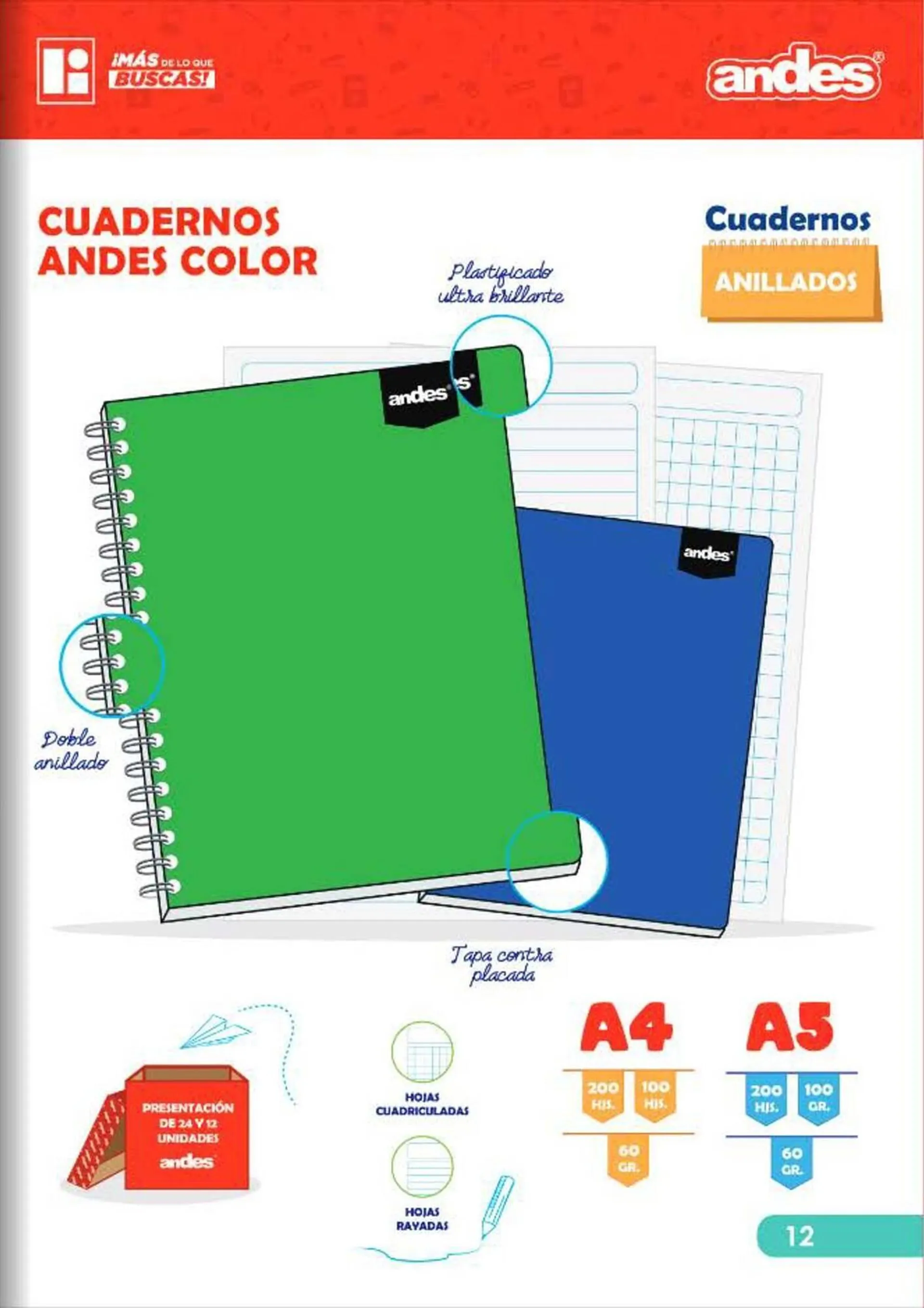 Catalogo de Catálogo Comercial Li 1 de agosto al 31 de diciembre 2024 - Pag 13