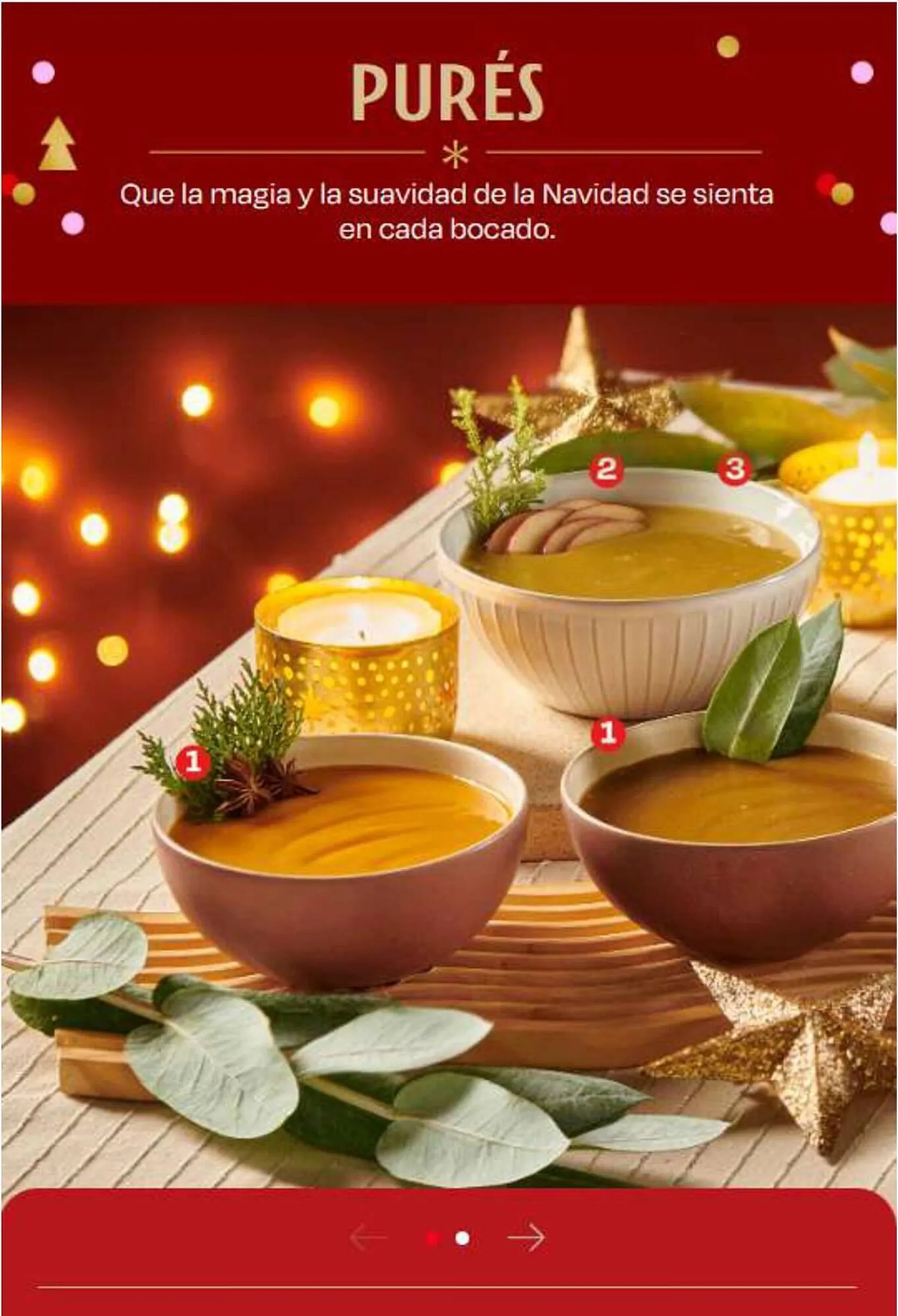 Brochure Cover