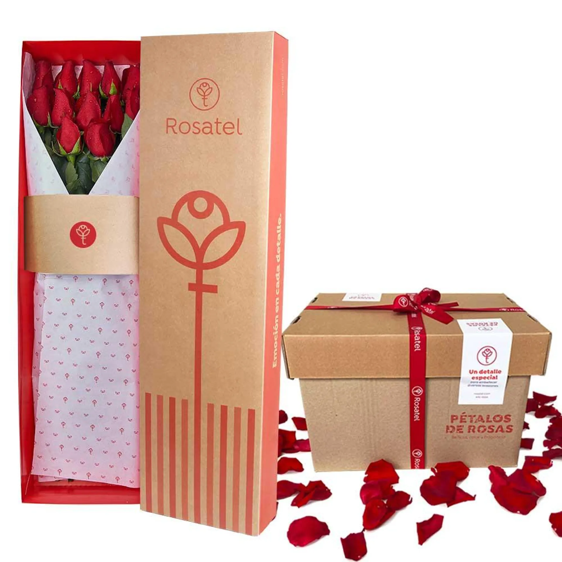 Caja con 12 Rosas y Pétalos