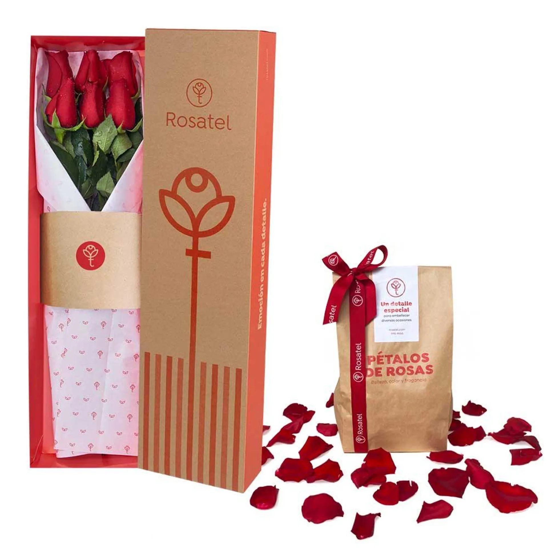 Caja con 6 Rosas y Pétalos