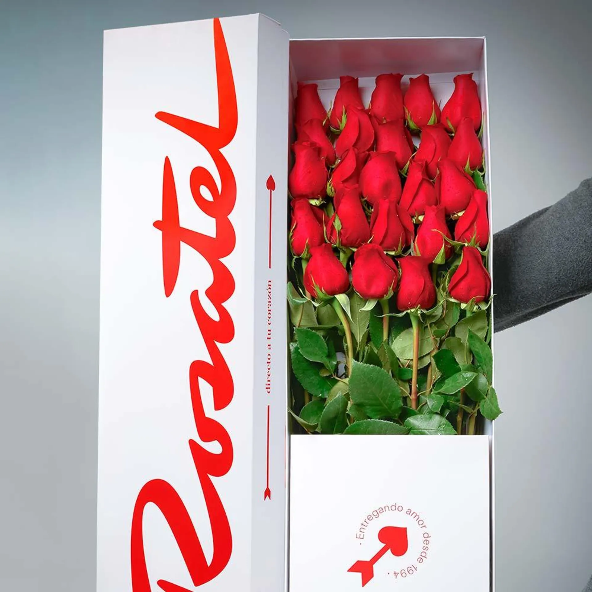 Caja Rosatel con 24 Rosas