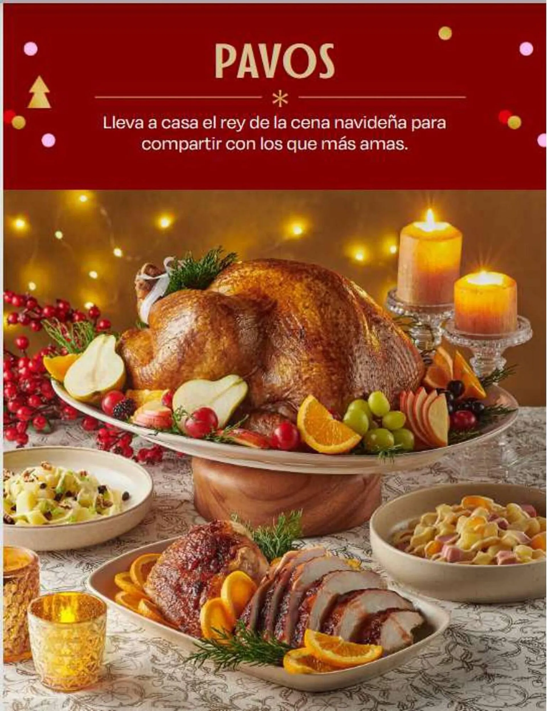 Brochure Cover