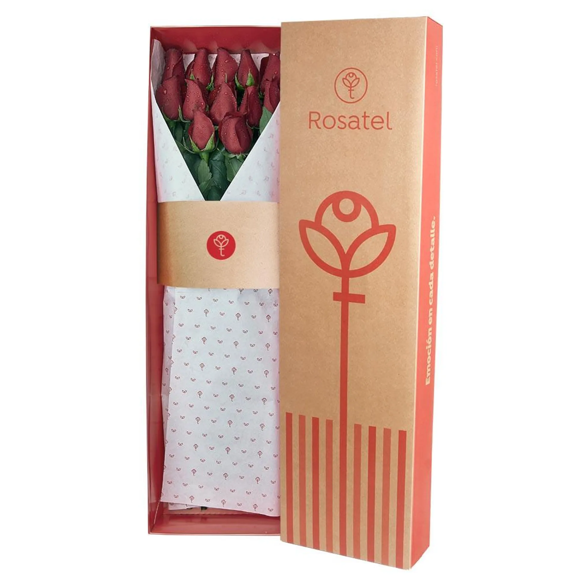 Caja Natural con 12 Rosas