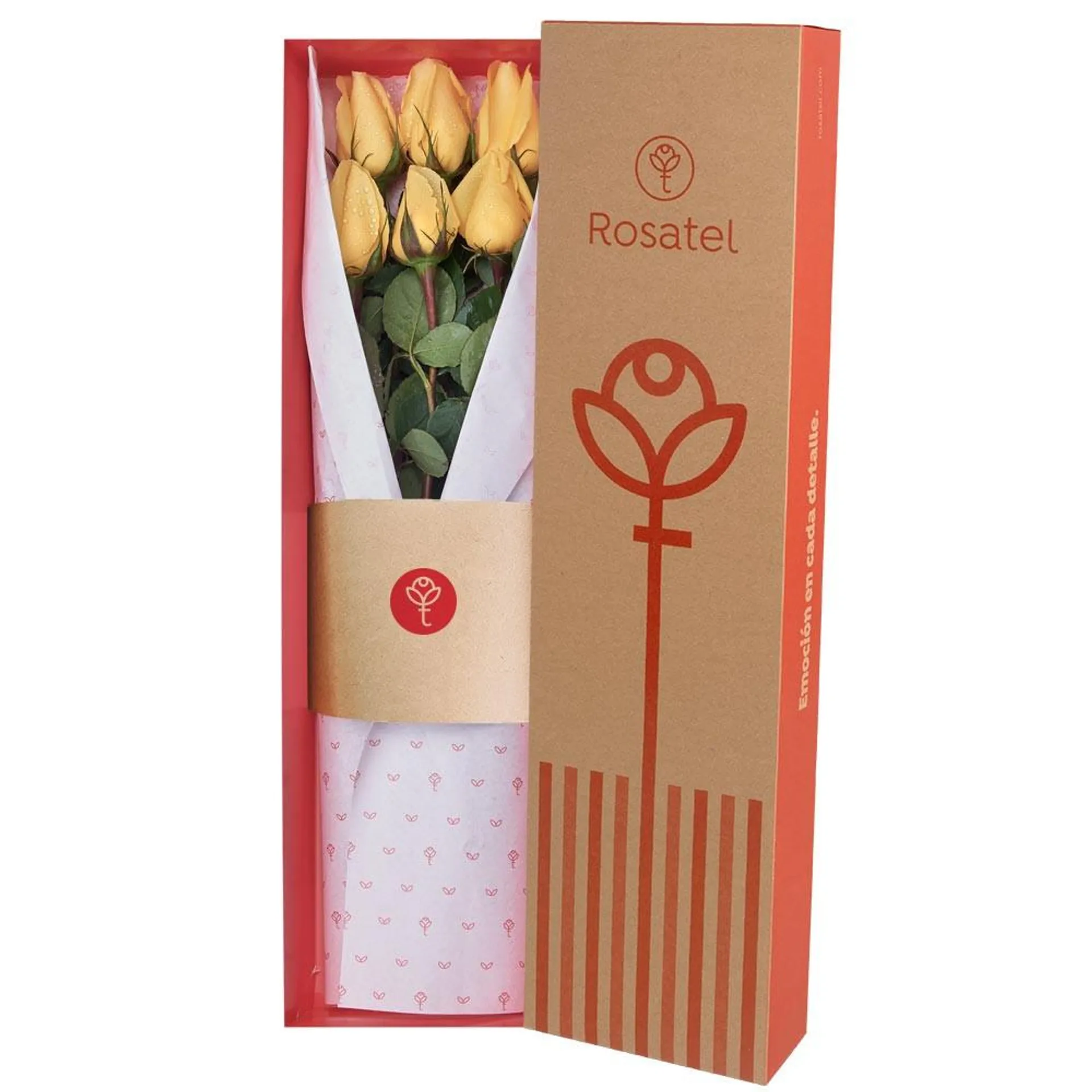 Caja Natural con 6 Rosas