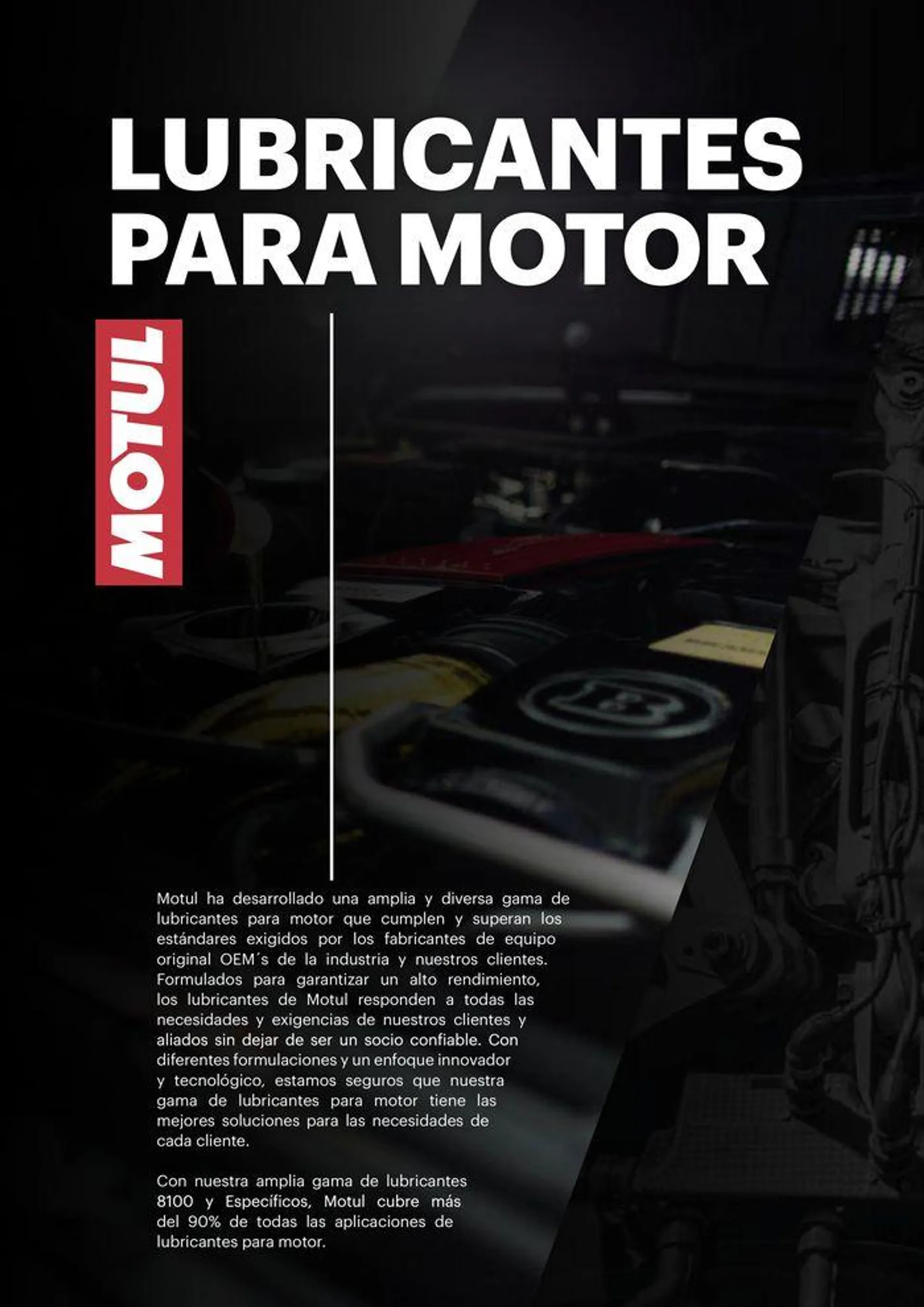 Catalogo de GAMA AUTO  9 de mayo al 31 de diciembre 2024 - Pag 6