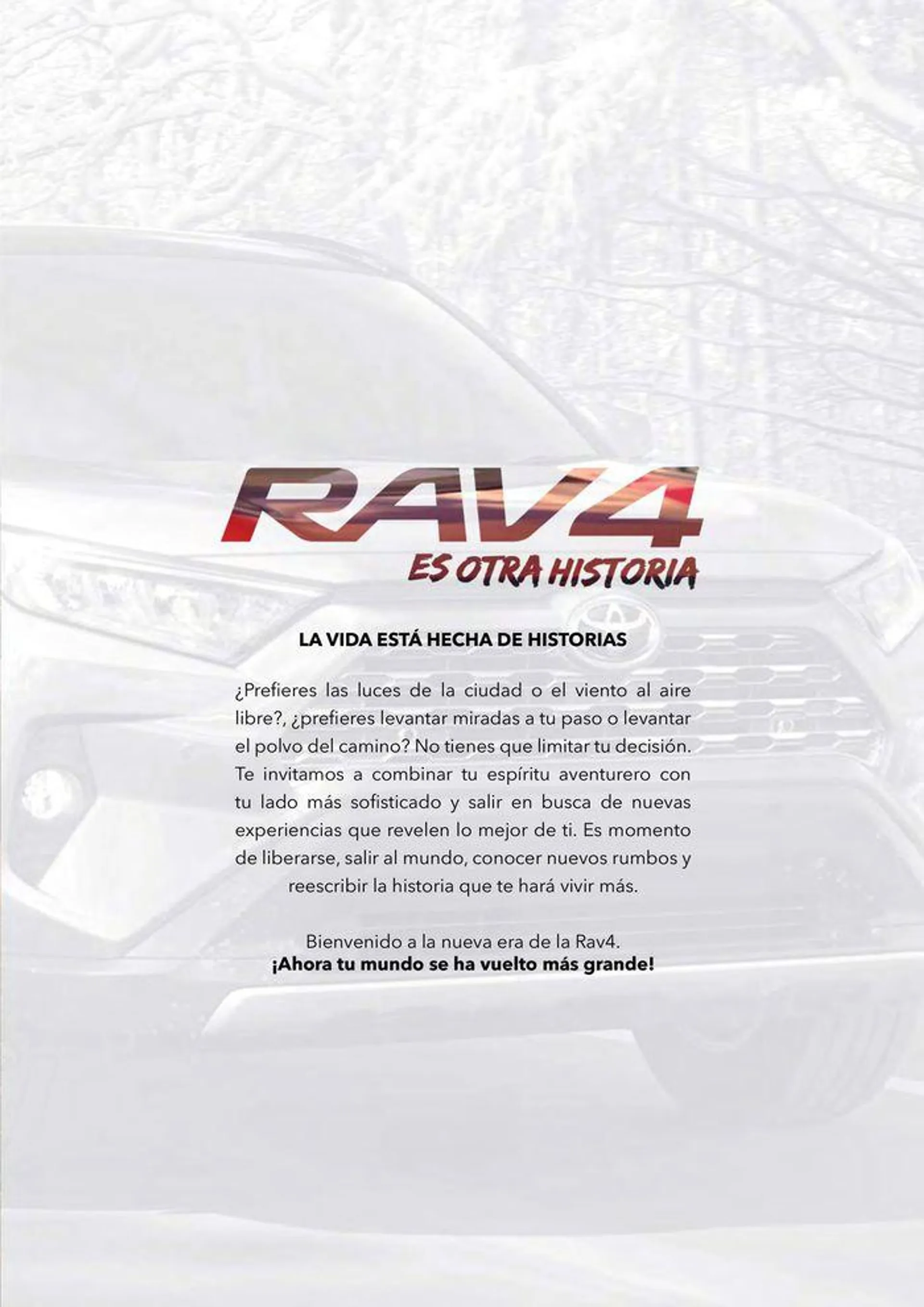 Catalogo de Toyota Rav4 12 de enero al 12 de enero 2025 - Pag 2