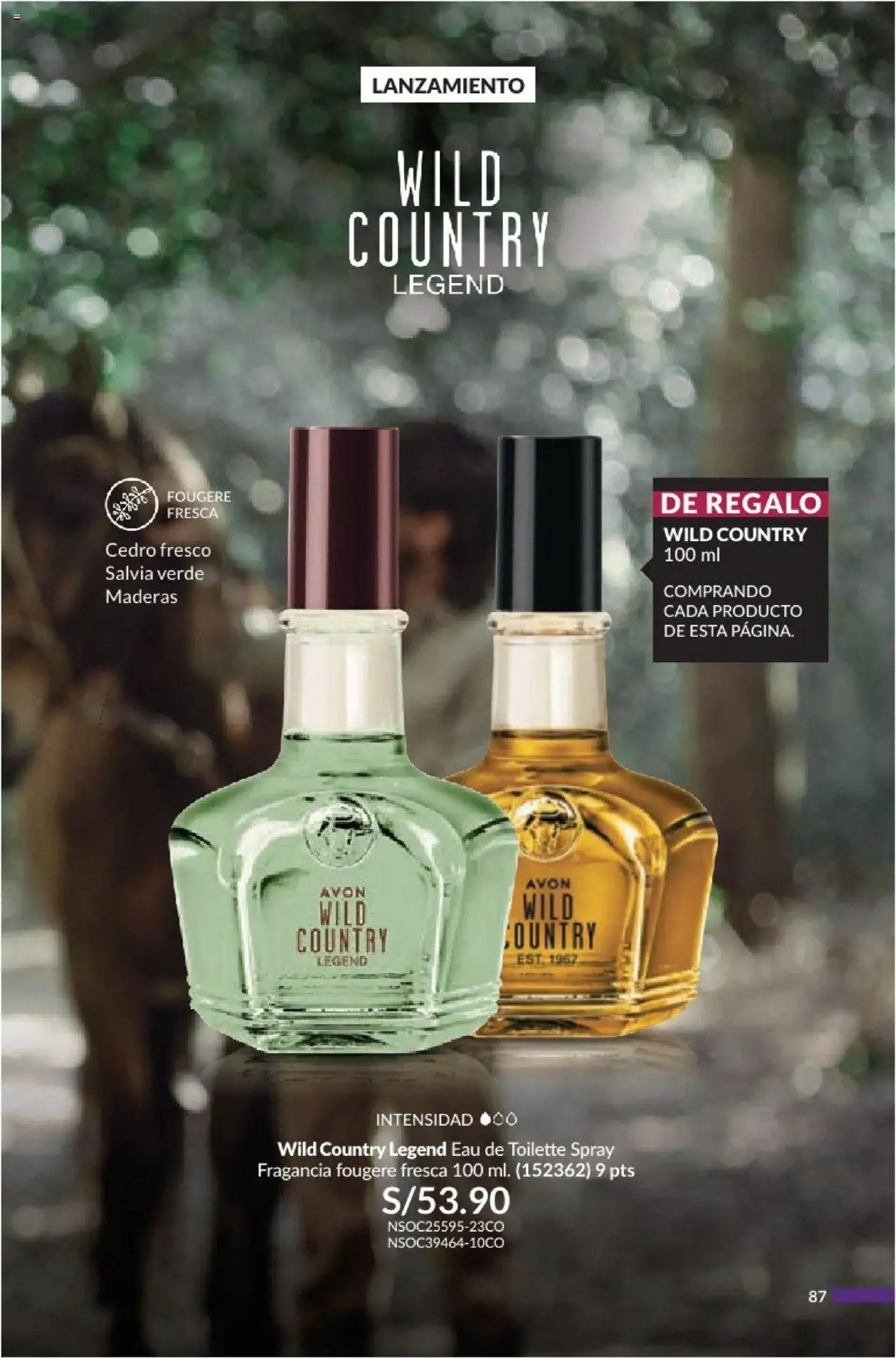 Catalogo de Avon - Campaña 14 10 de octubre al 31 de diciembre 2024 - Pag 87