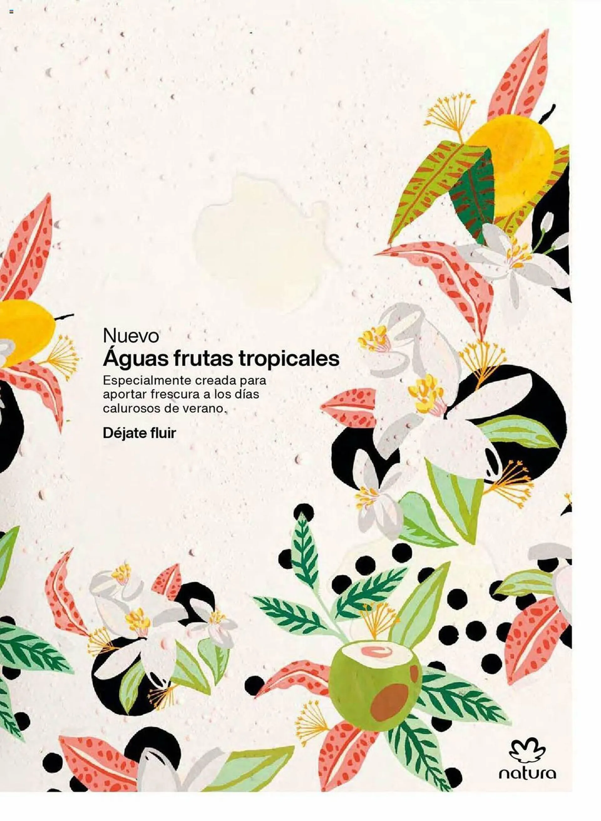 Catálogo Natura - 3