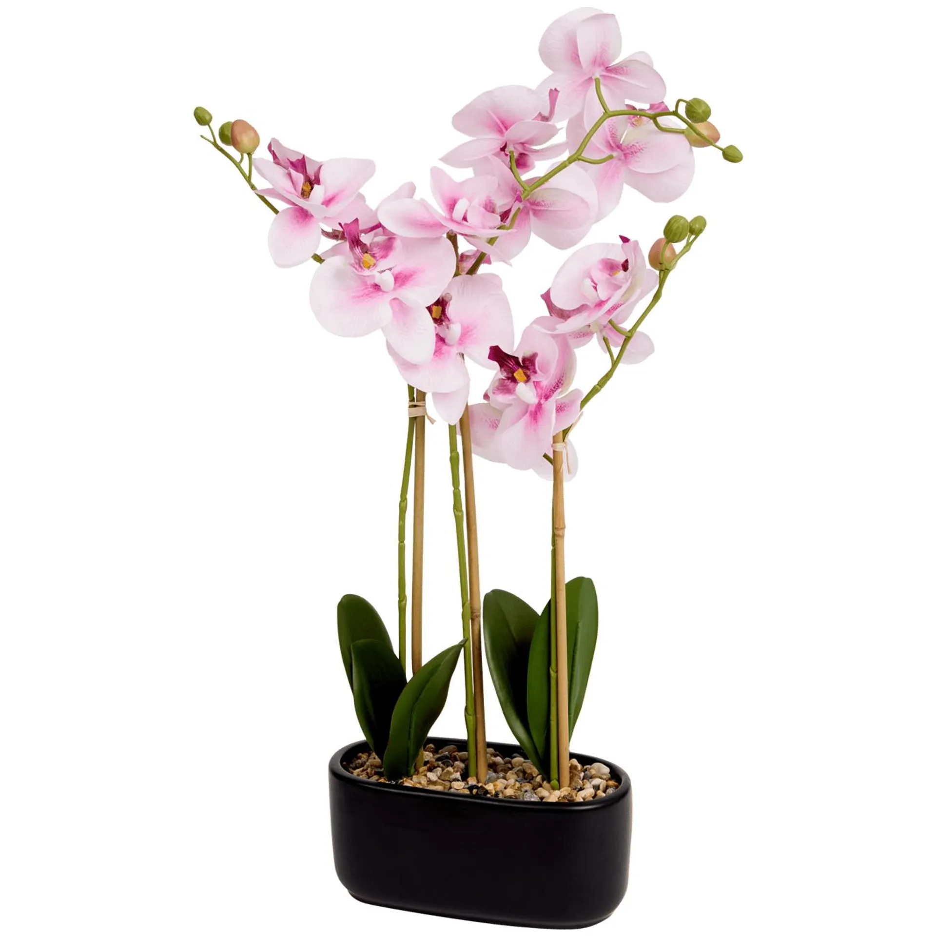 Orchidea finta in vaso