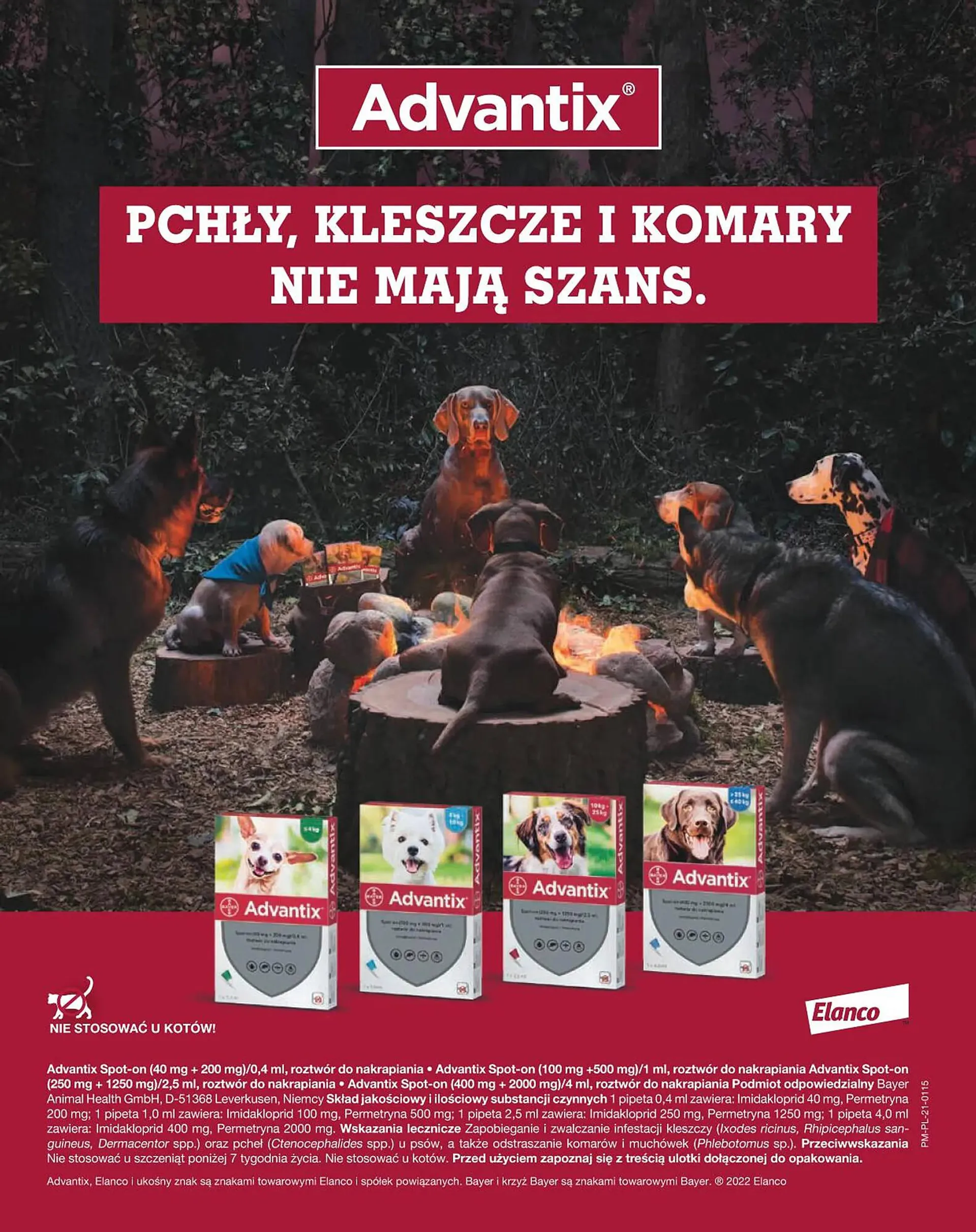 Maxi Zoo gazetka - 2