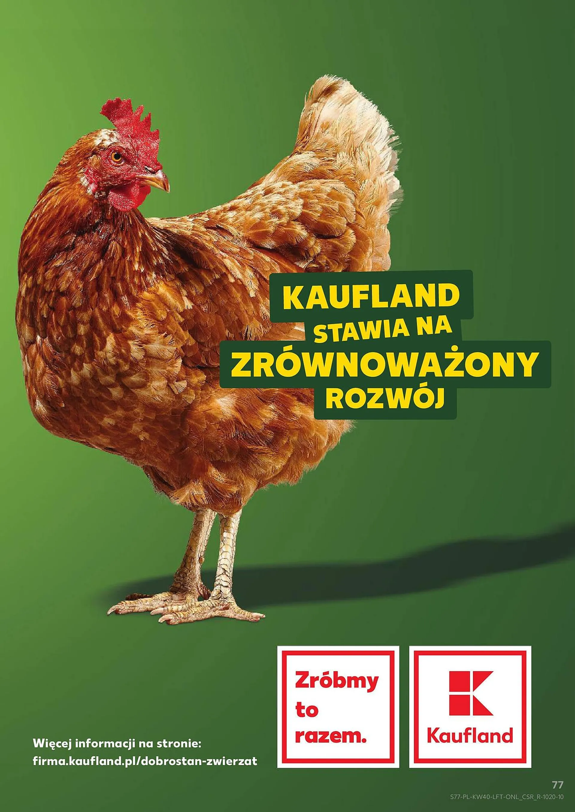 Kaufland gazetka - 77