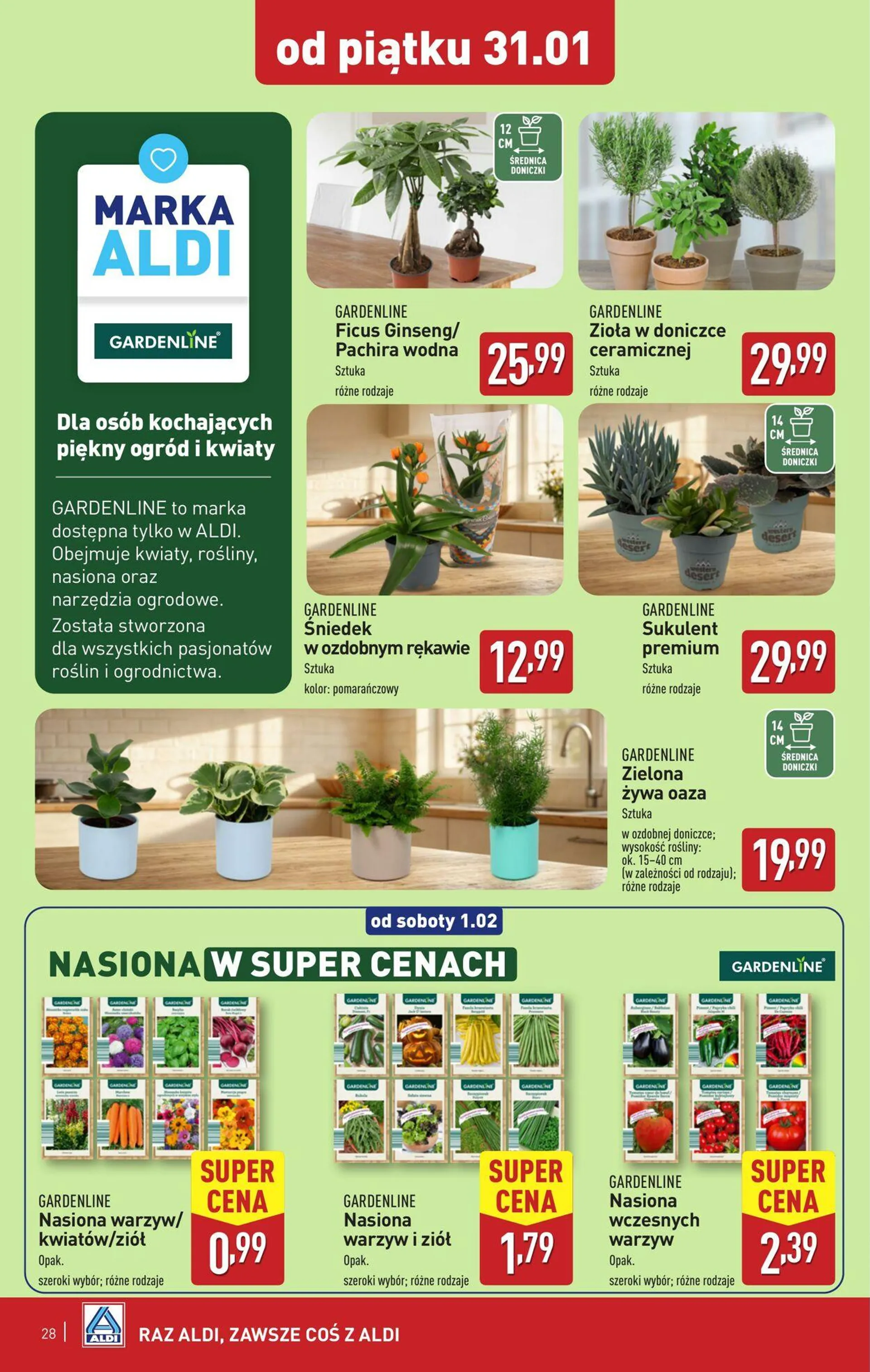 ALDI Aktualna gazetka - 28