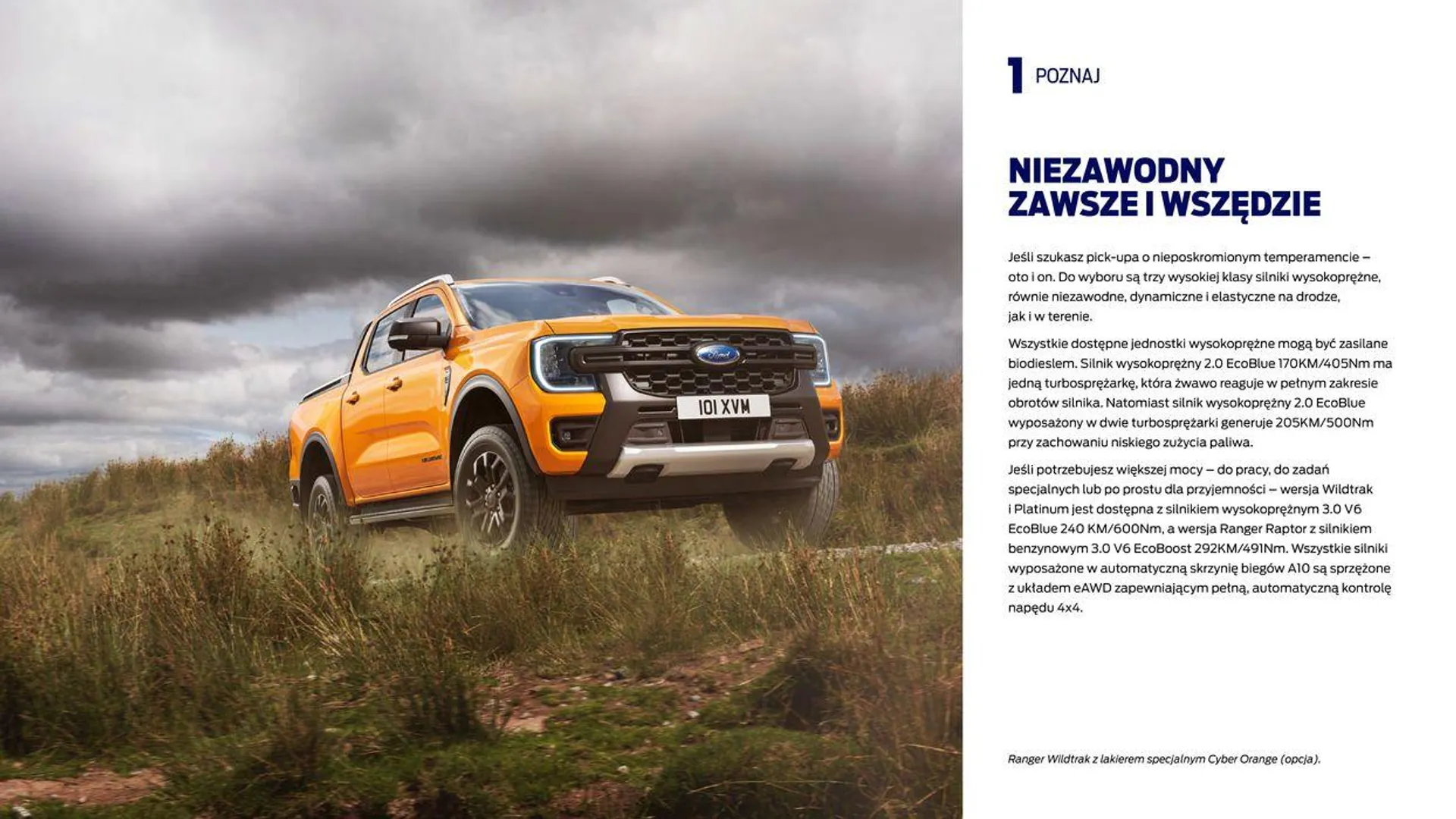 NOWY FORD RANGER - 8