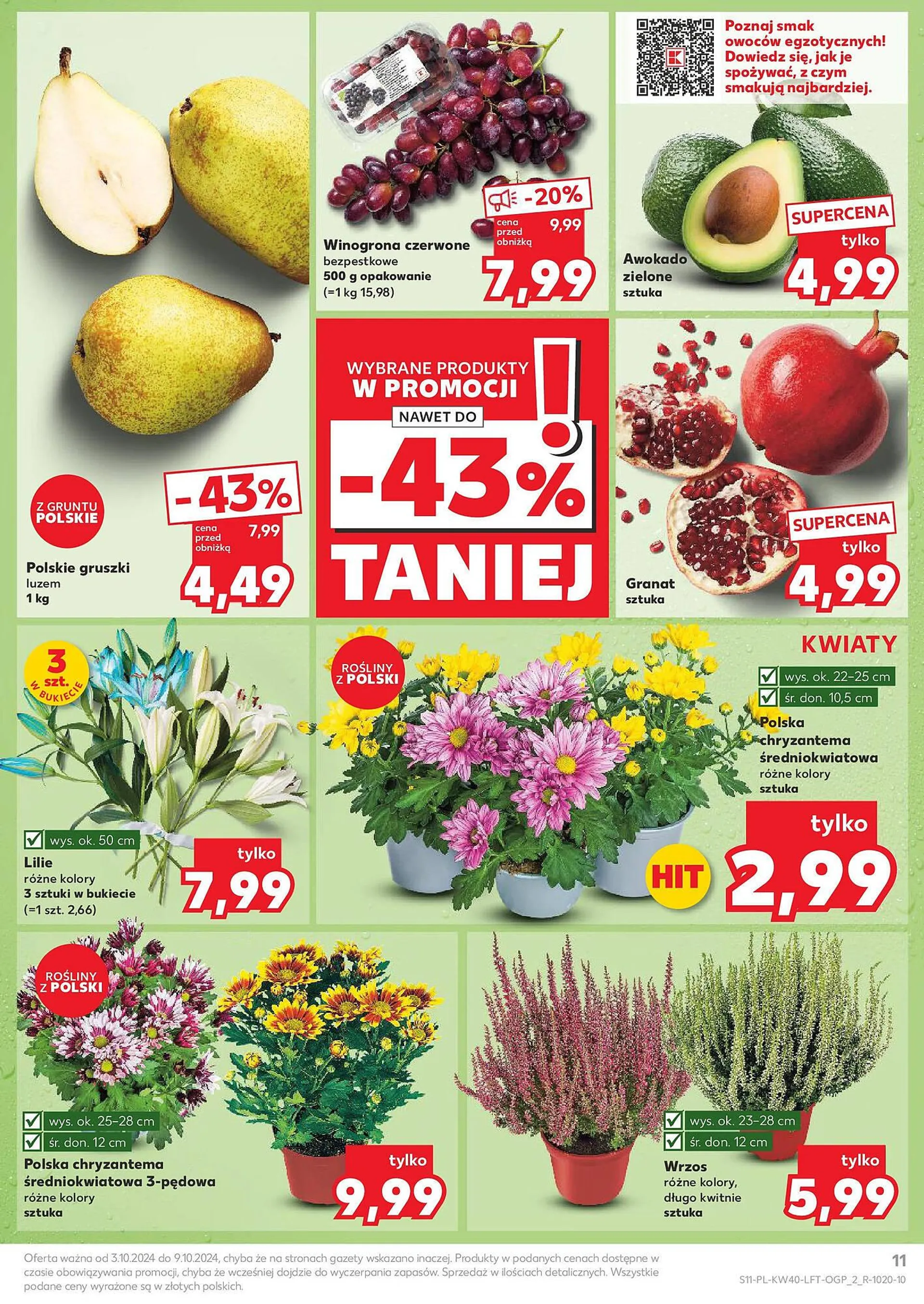 Kaufland gazetka - 11