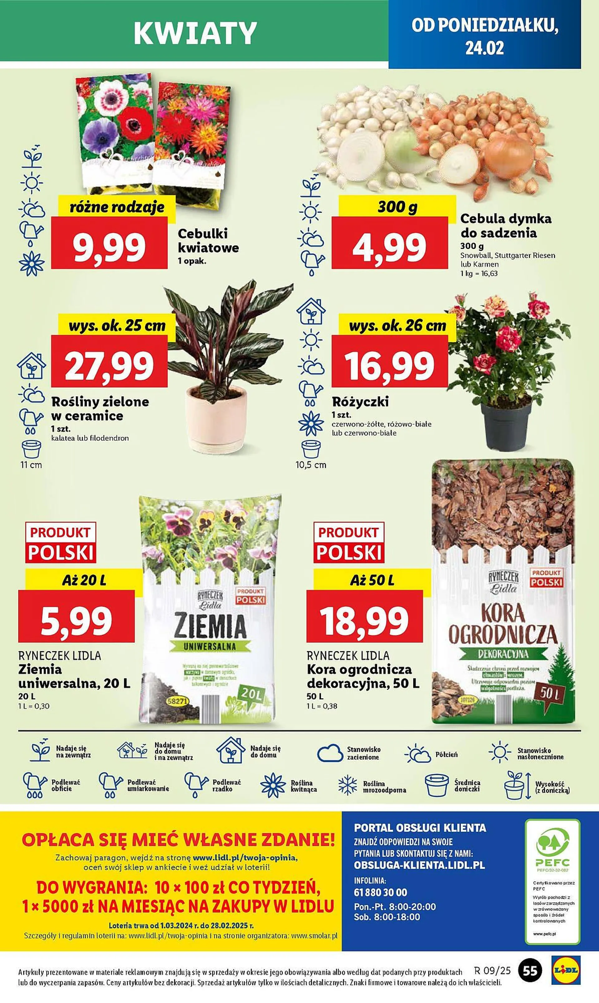 Lidl gazetka - 59