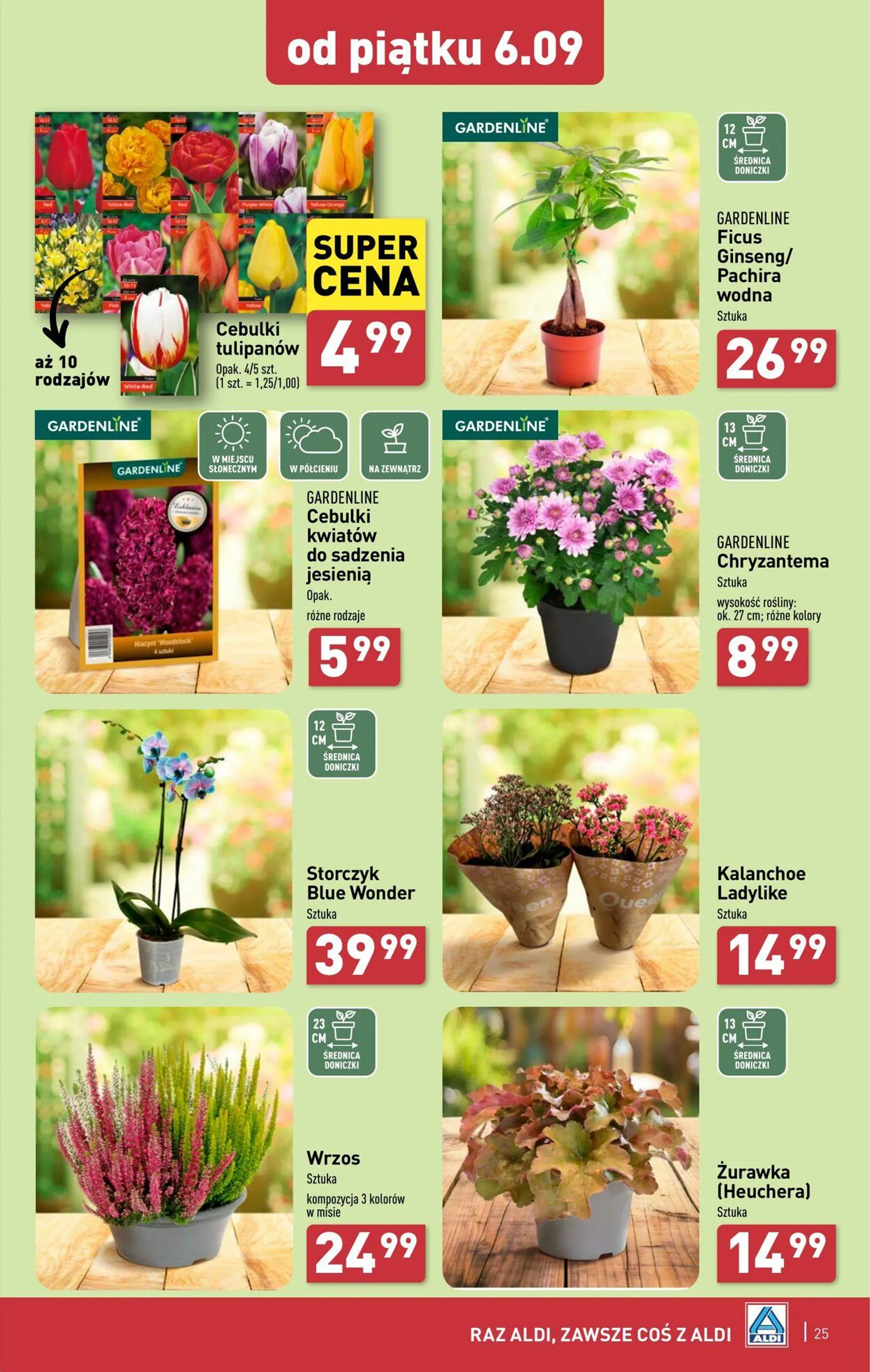 ALDI Aktualna gazetka - 25