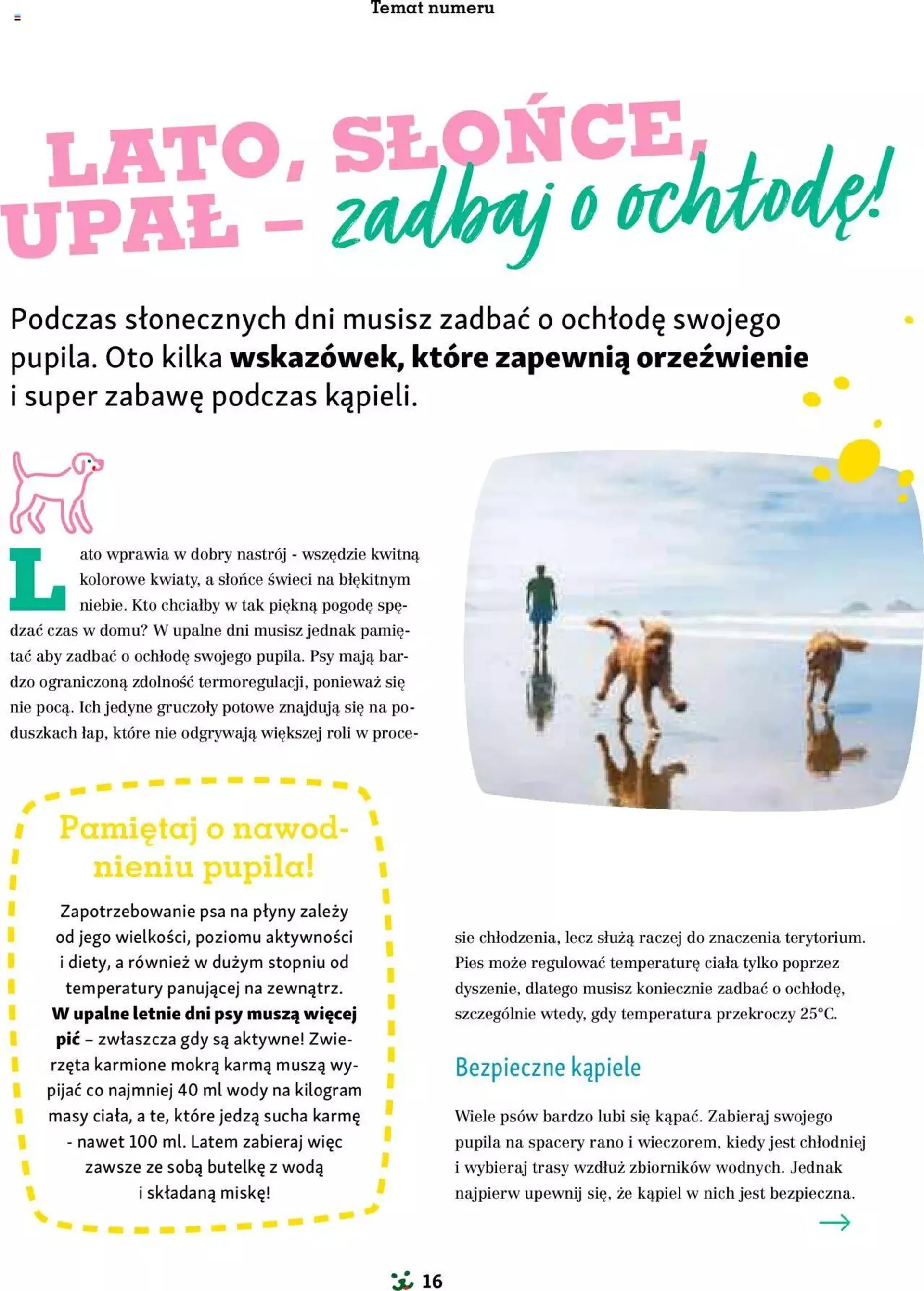 Maxi Zoo Gazetka - Magazyn - 15