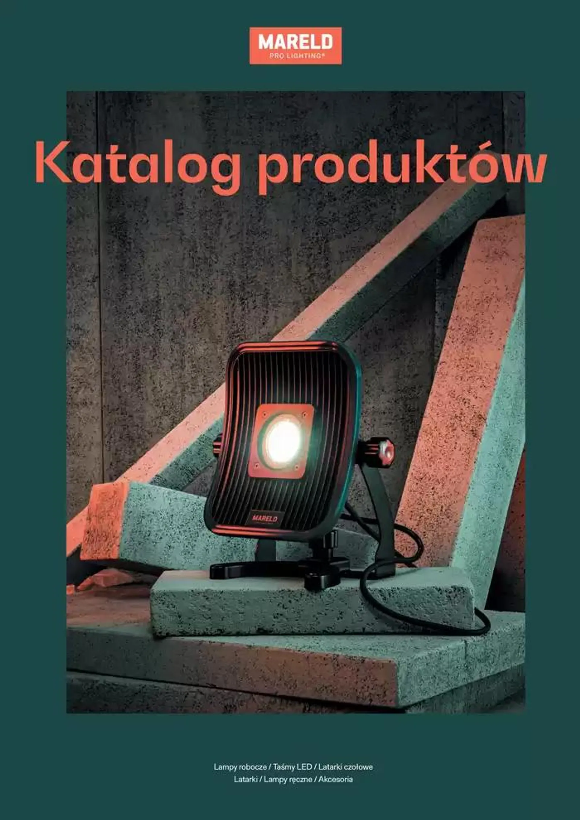 Katalog produktów 2024  - 1