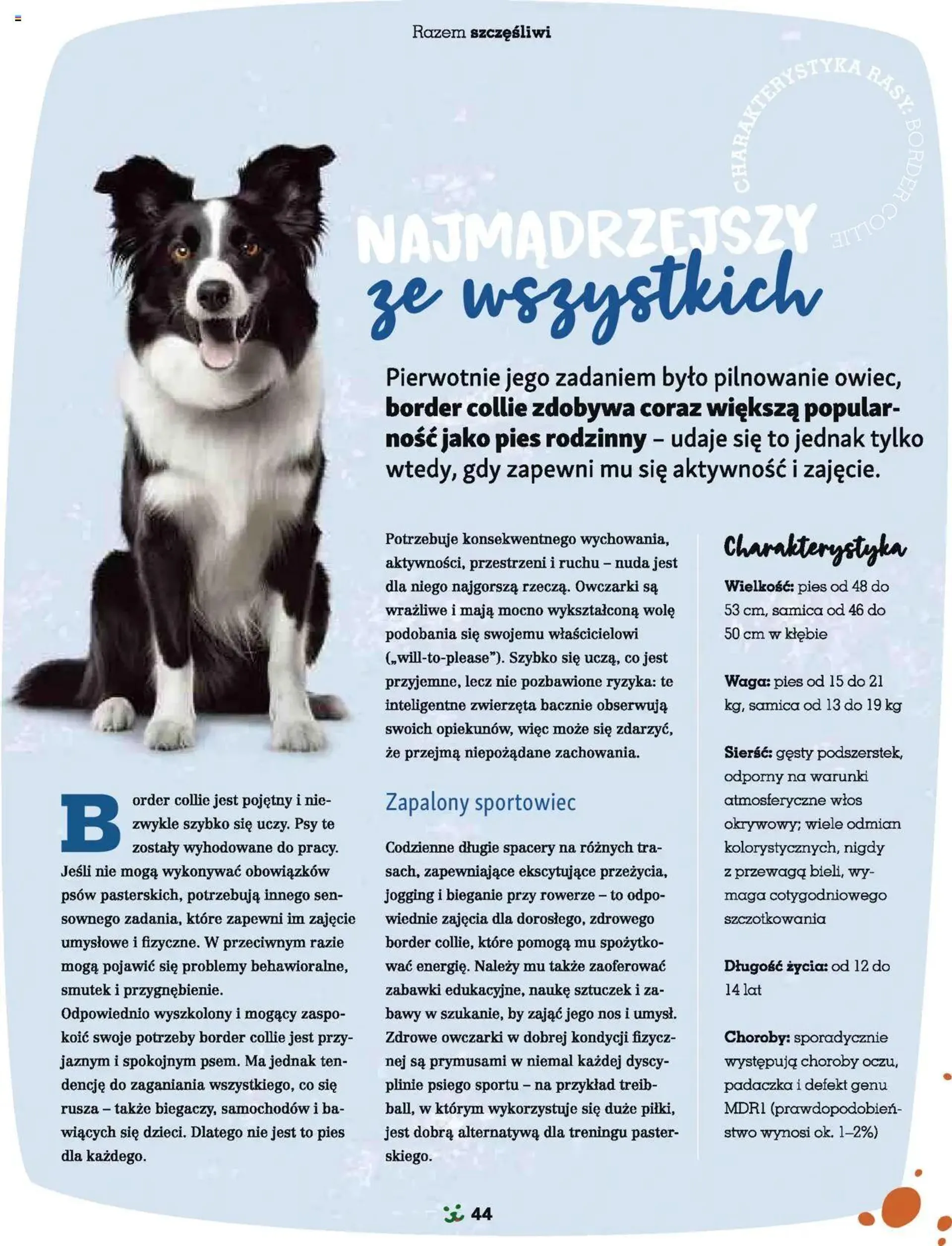 Maxi Zoo Gazetka - Magazyn - 43