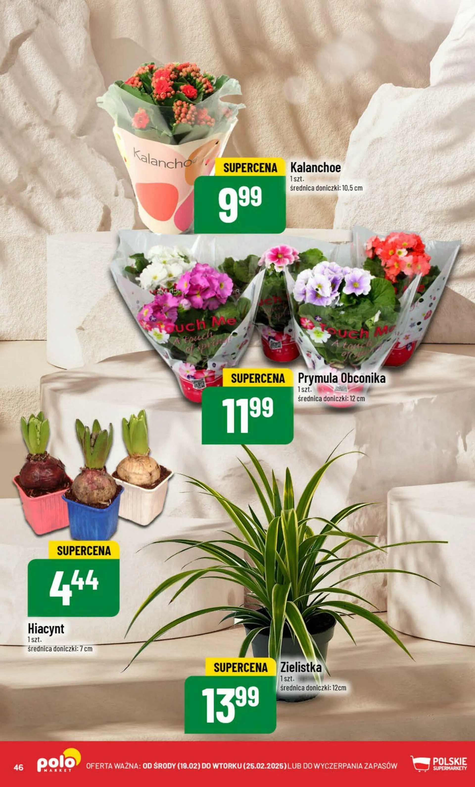 Polomarket Aktualna gazetka - 46