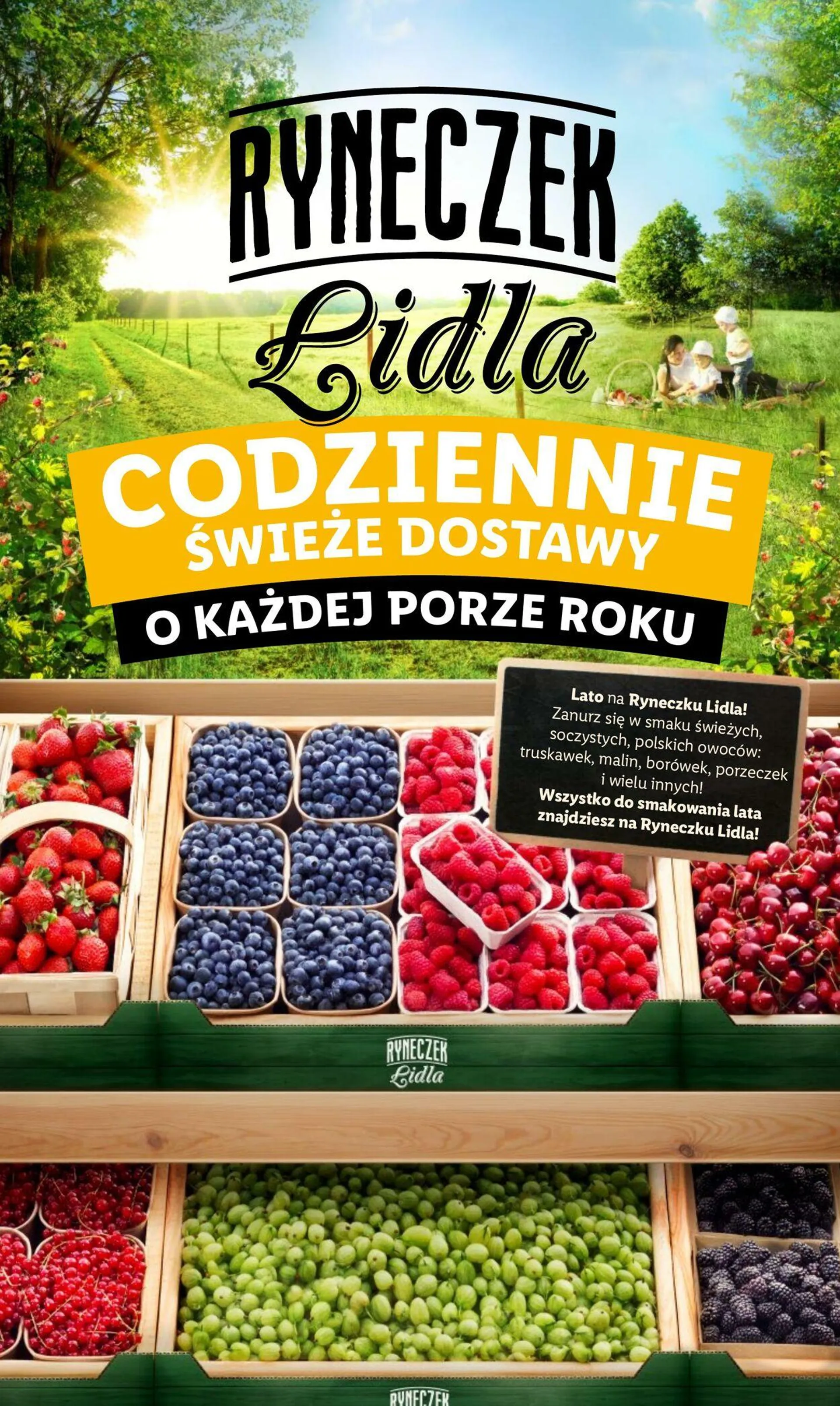 Gazetka LIDL Aktualna gazetka od 8 lipca do 10 lipca 2024 - Strona 12