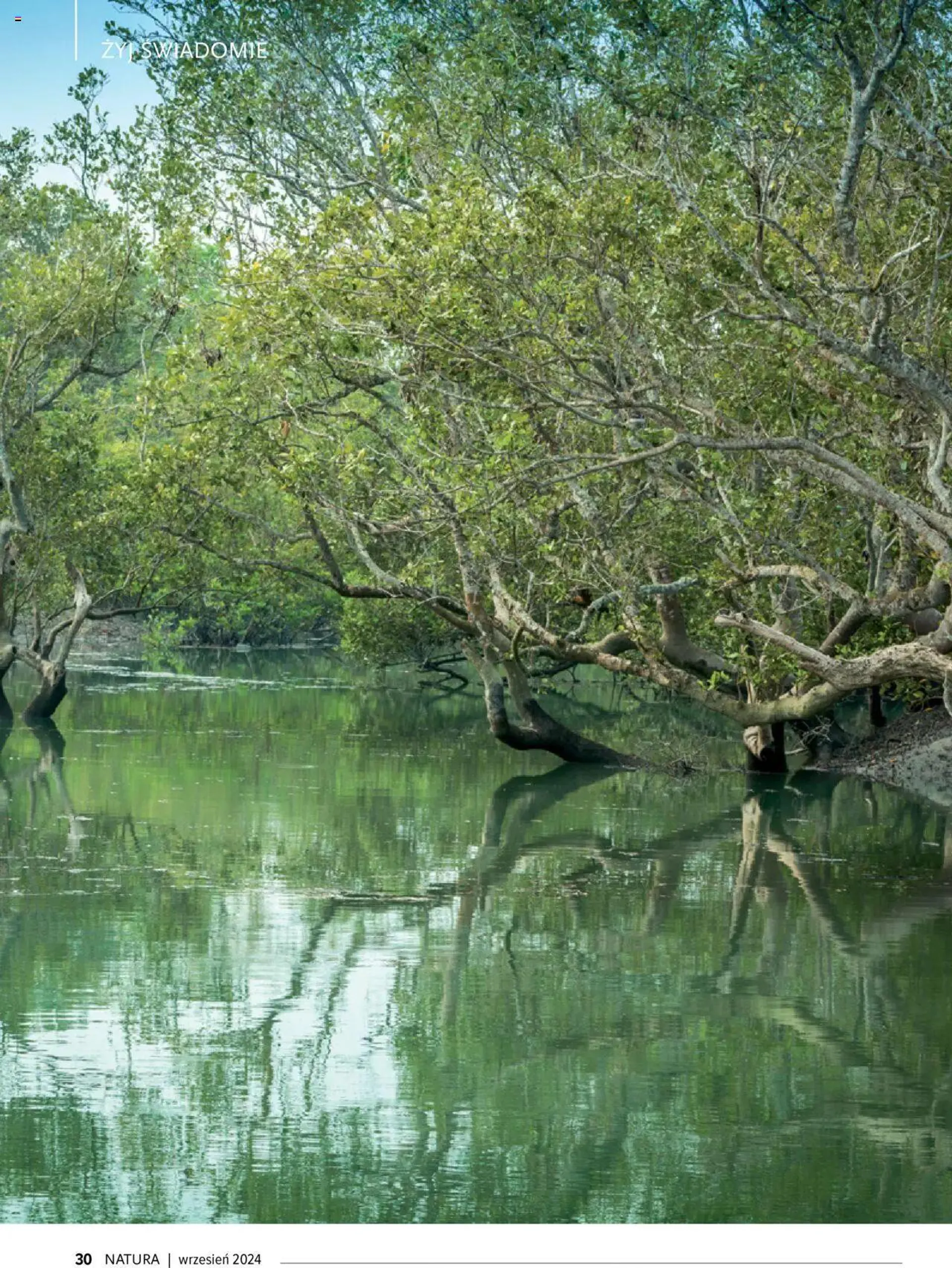 Drogerie Natura Gazetka - Magazyn Klubu Natura 09 - 29