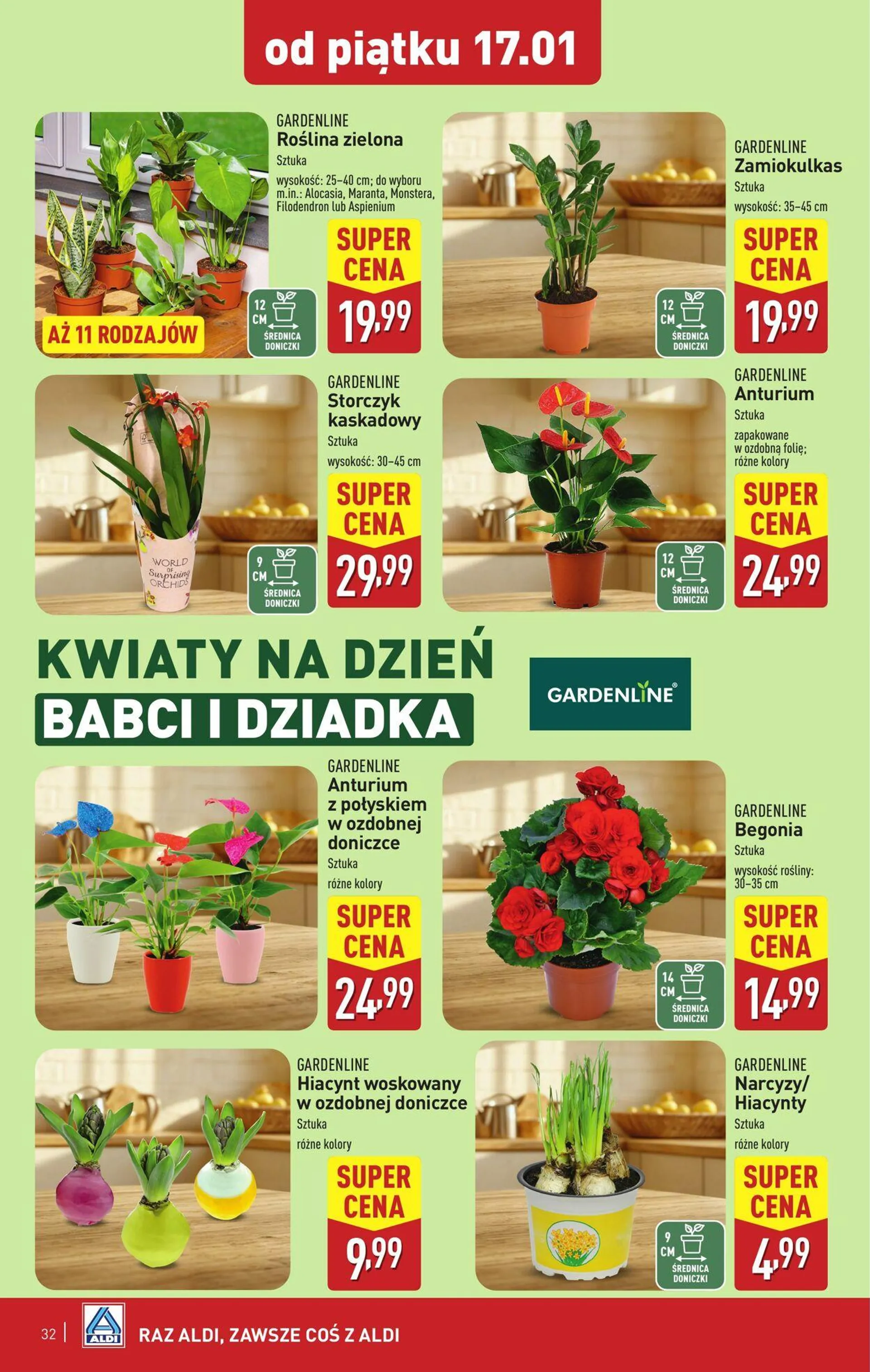 ALDI Aktualna gazetka - 32