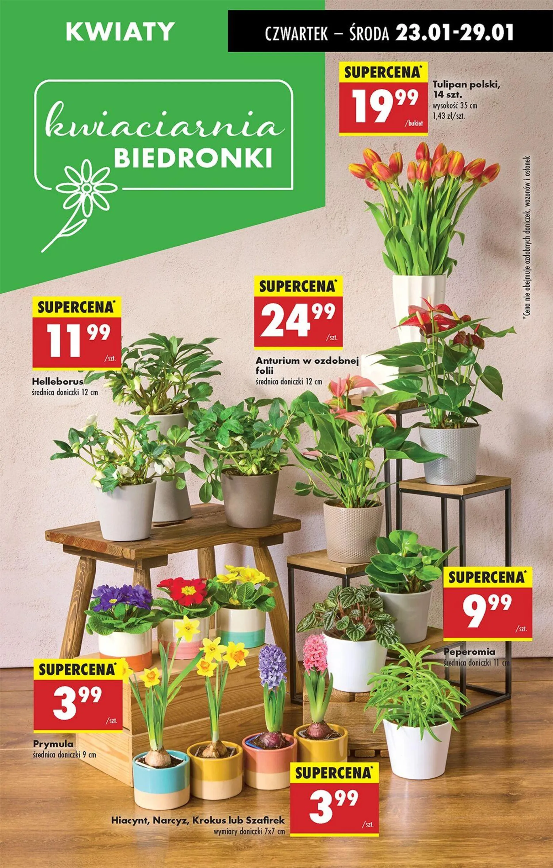 Biedronka Aktualna gazetka - 73