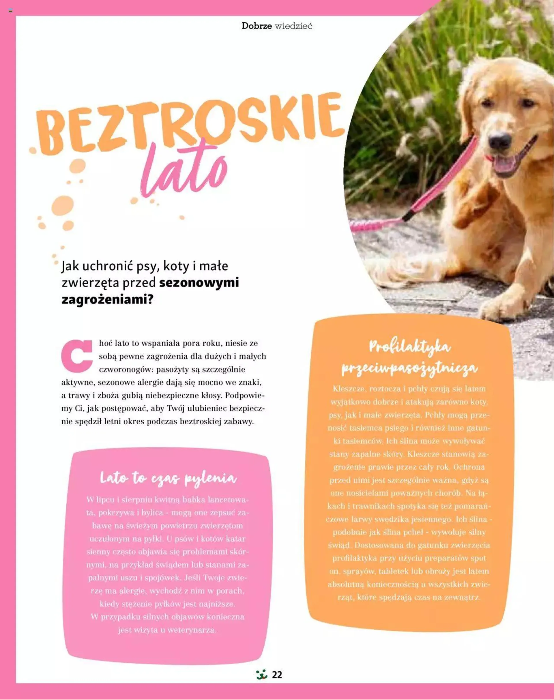 Maxi Zoo Gazetka - Magazyn - 21