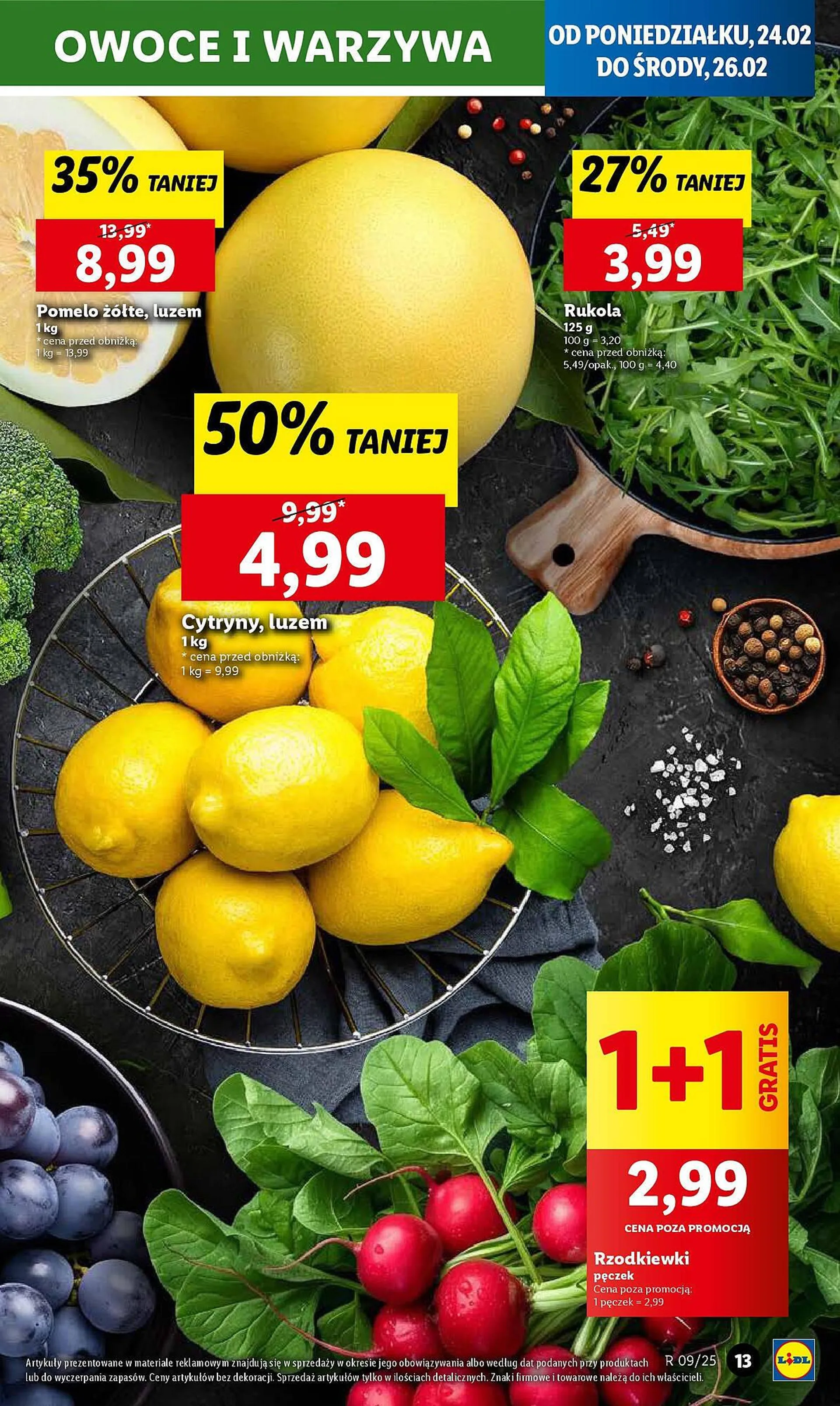 Lidl gazetka - 13