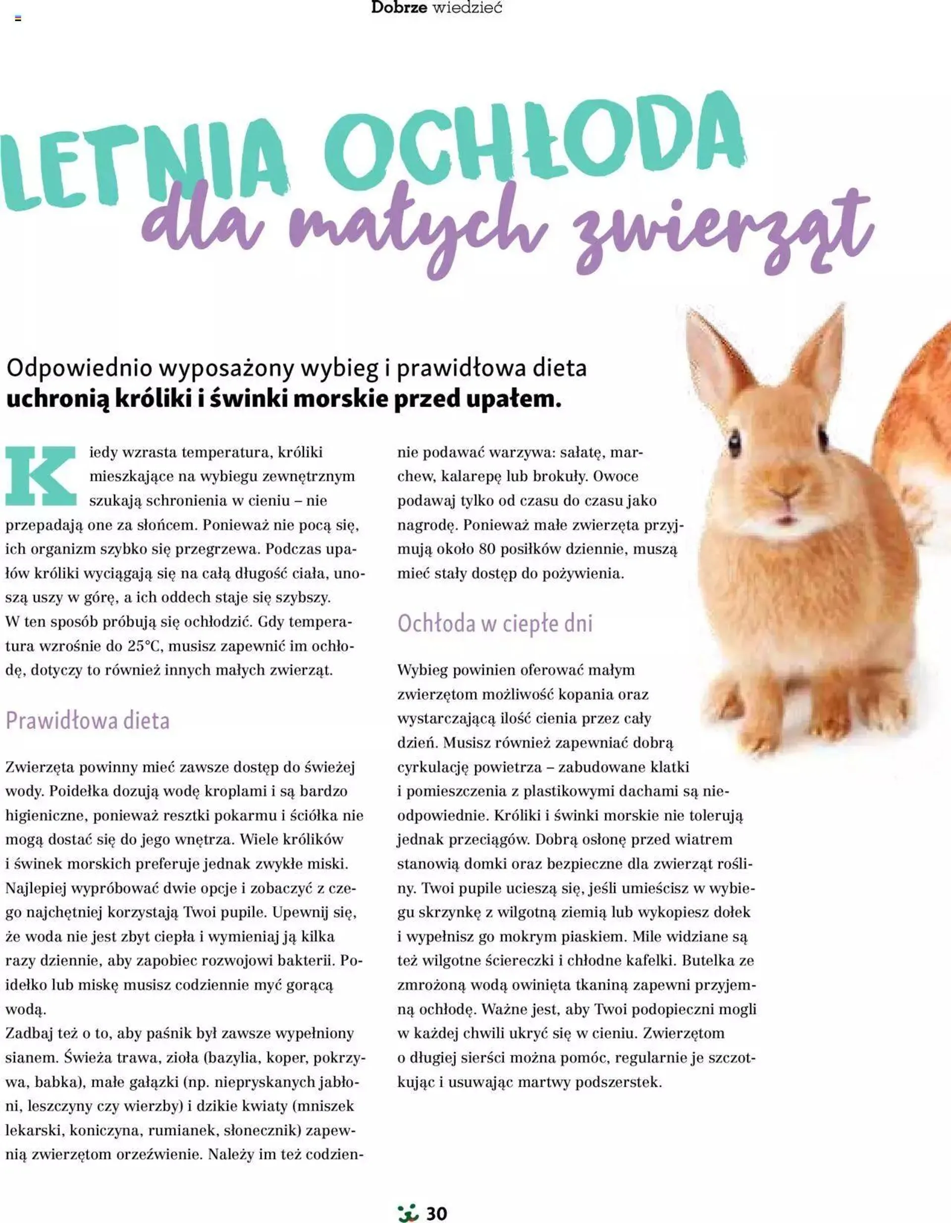 Maxi Zoo Gazetka - Magazyn - 29