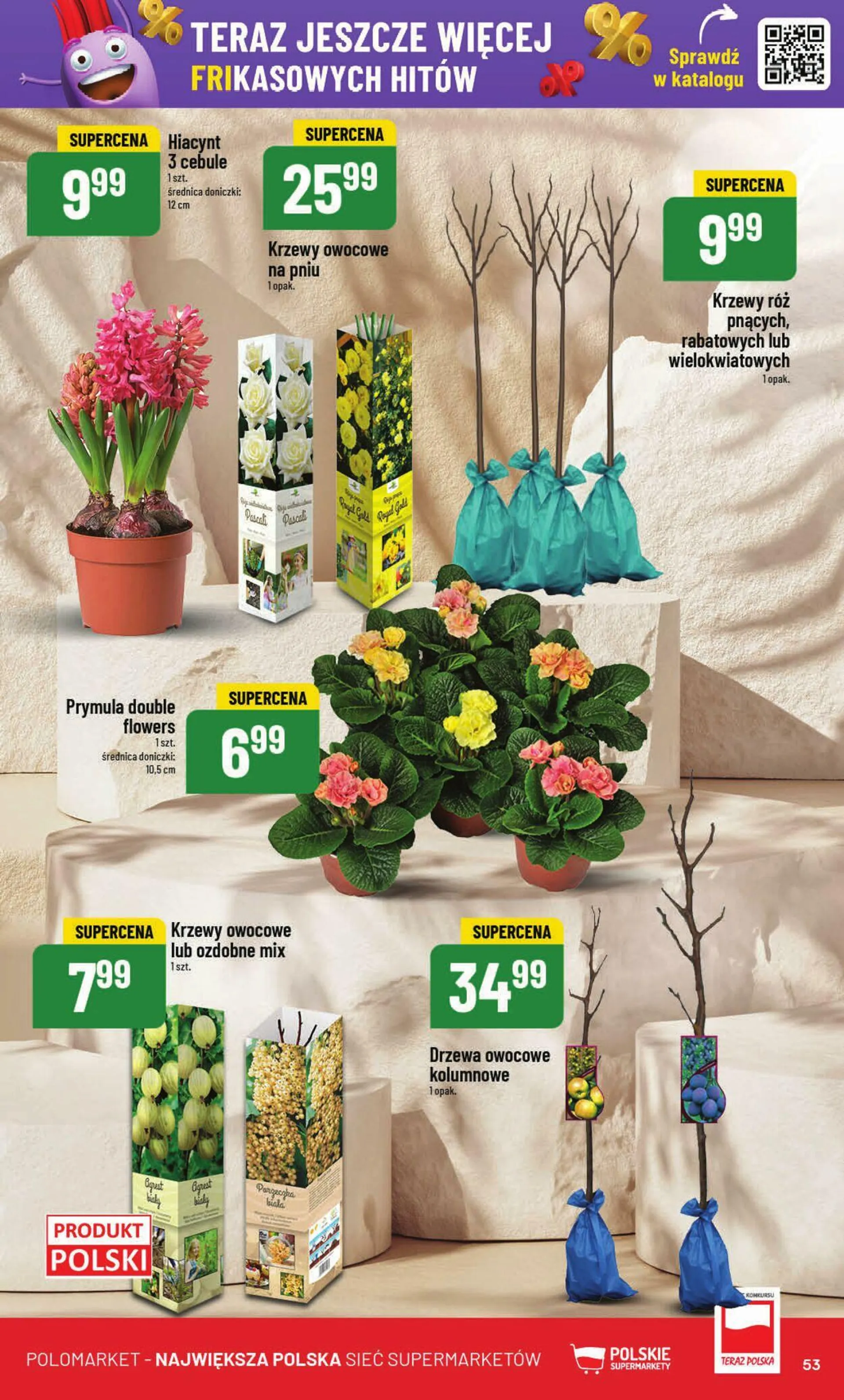 Polomarket Aktualna gazetka - 53