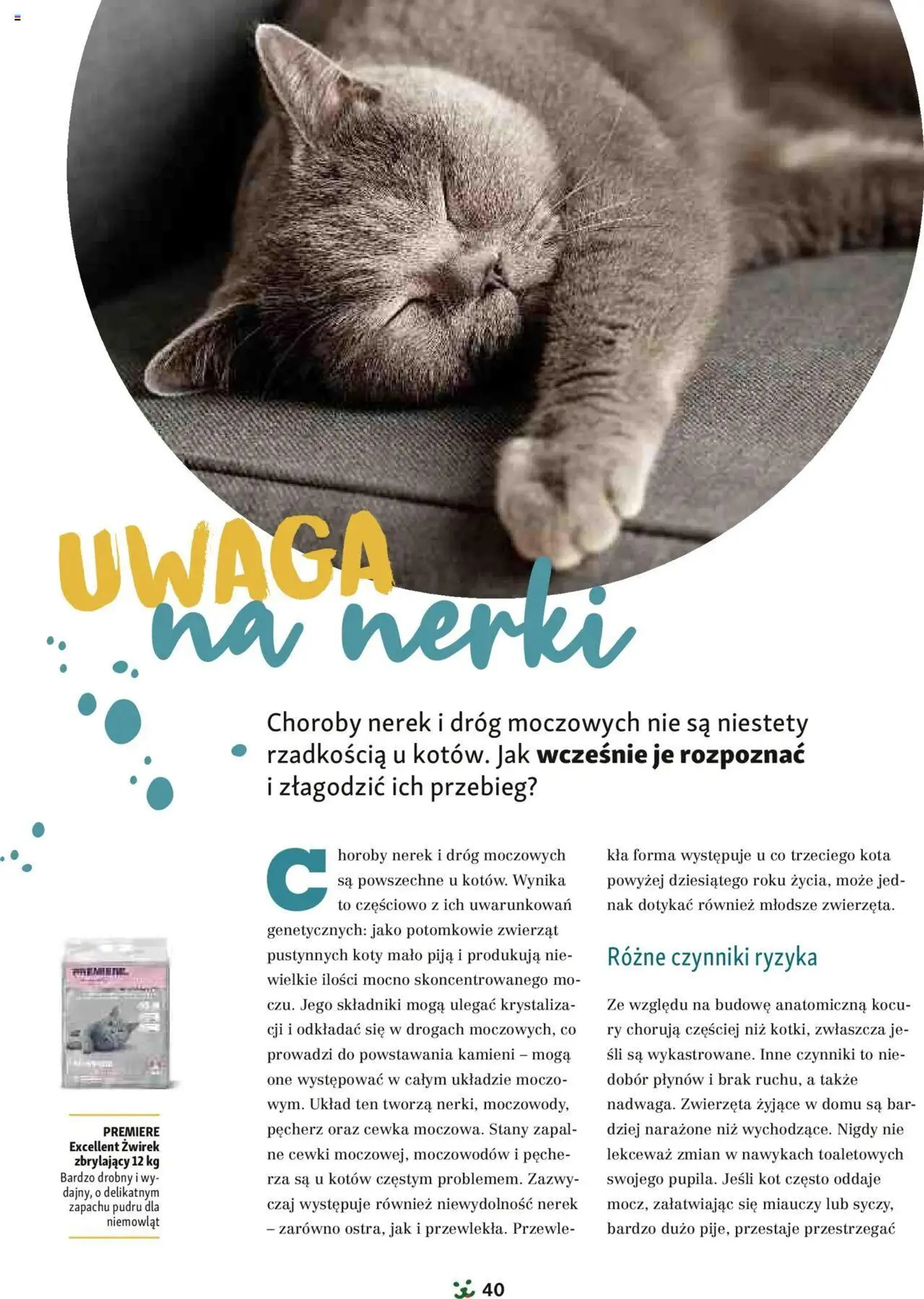 Maxi Zoo Gazetka - Magazyn - 39