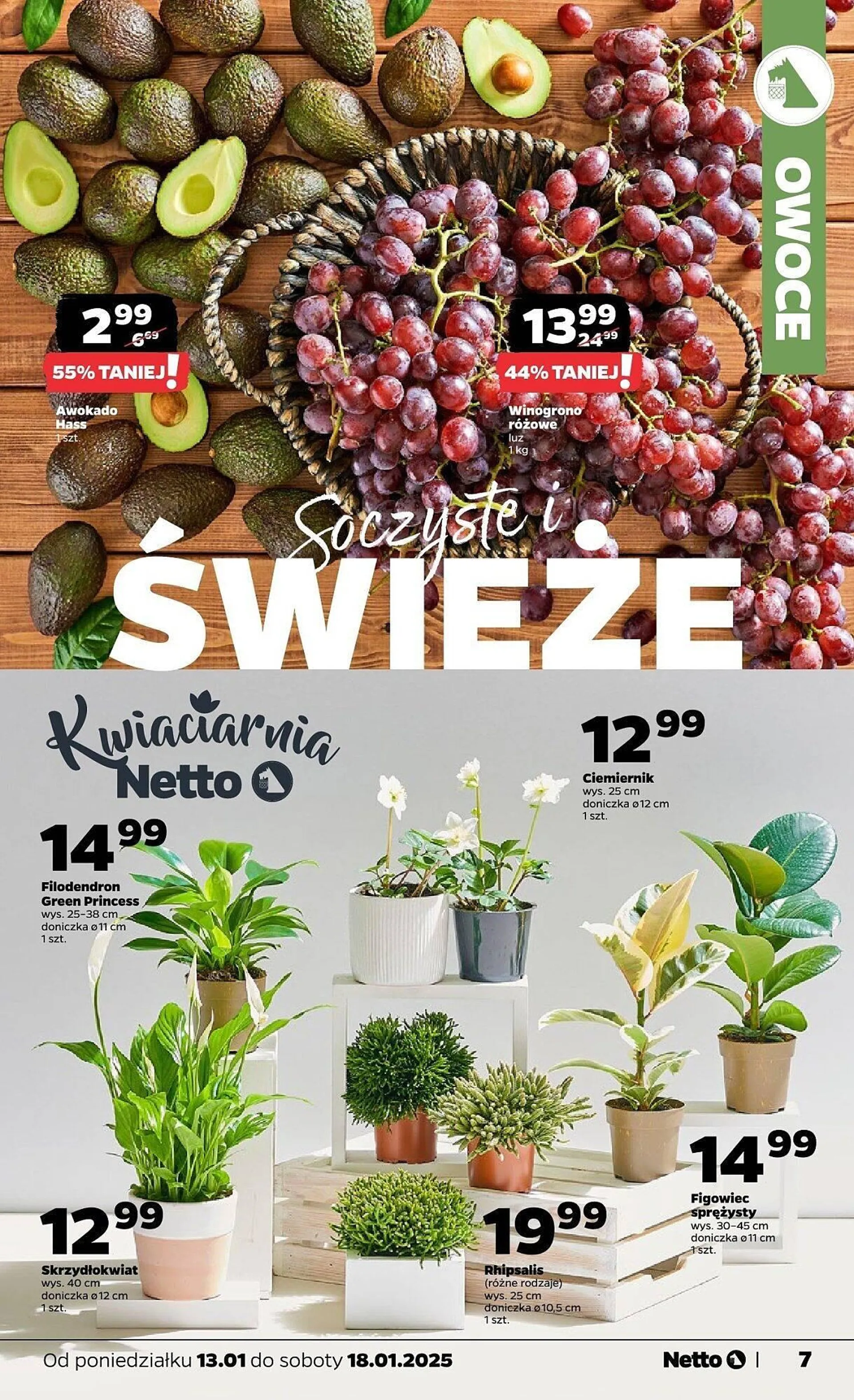 Netto gazetka - 7