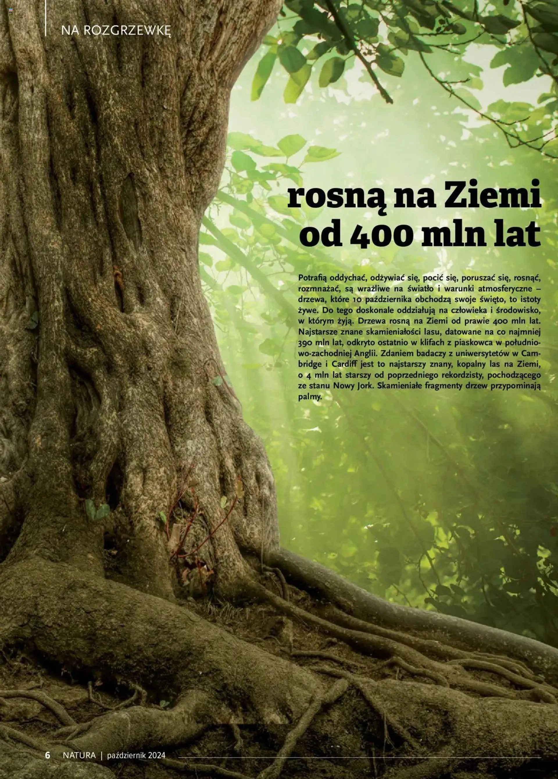 Drogerie Natura Gazetka - Magazyn Klubu Natura 10 - 5